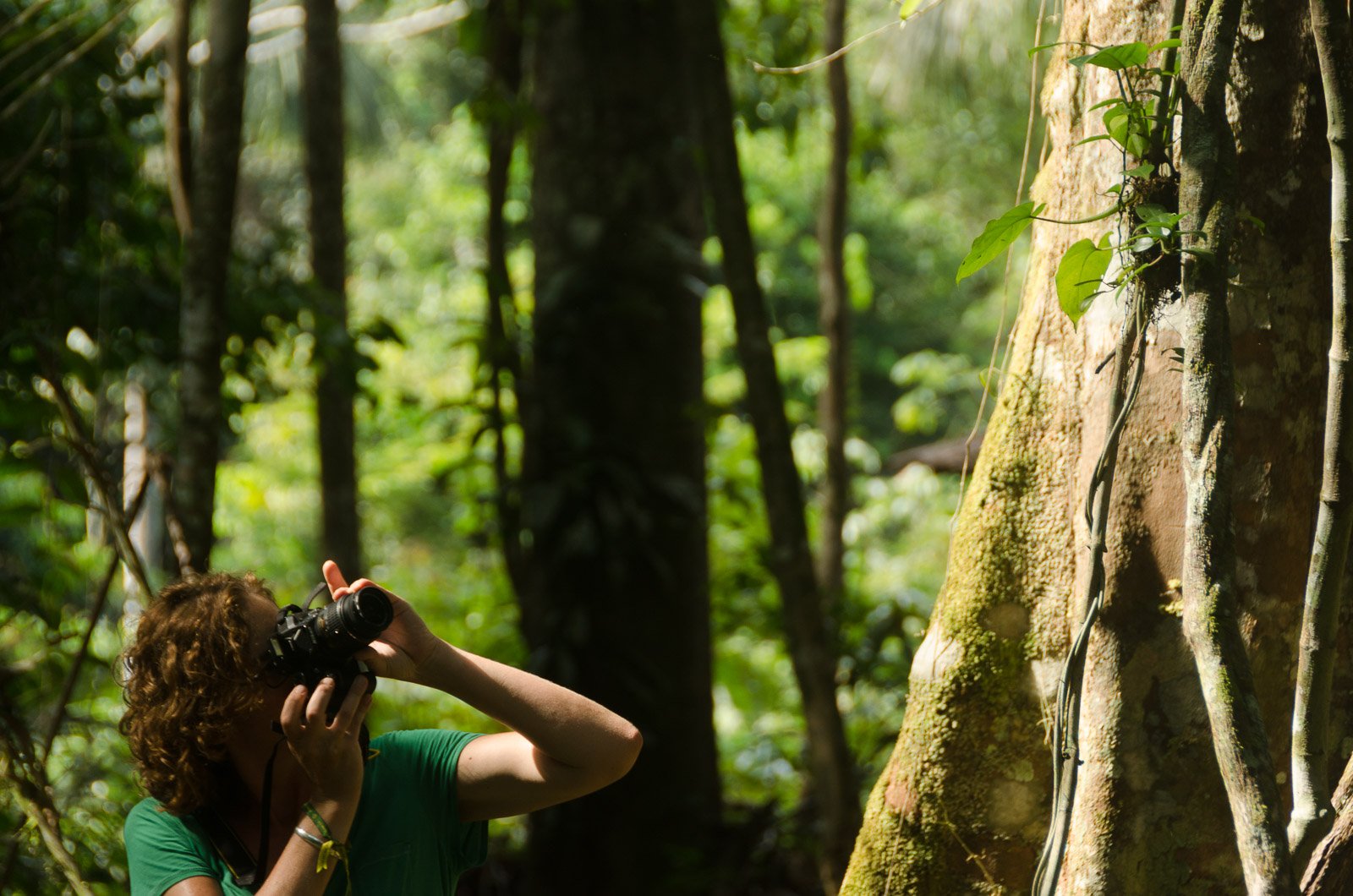A traveller raises a camera to photograph the canopy during an amazon rainforest ecolodge trip in brazil, standing beside a moss-covered buttress root in a dense tropical forest