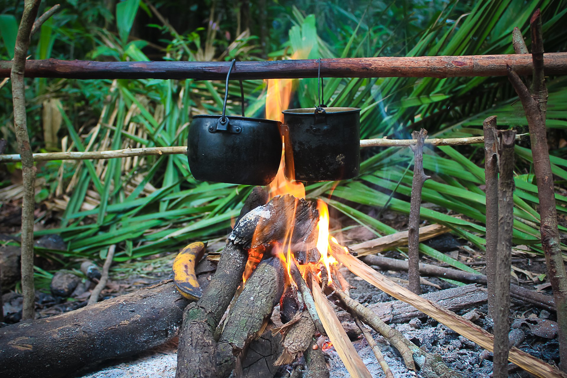 Two blackened metal pots hanging over an open campfire on a rustic wooden frame during an Amazon survival tour, with dense tropical palm vegetation in the background
