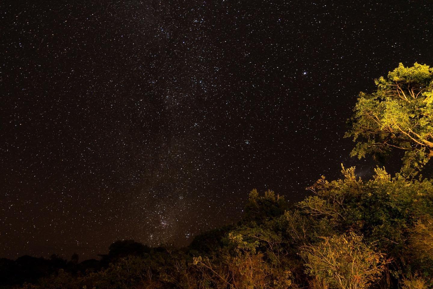 The Milky Way stretches across a dark night sky above a canopy of trees illuminated by warm artificial light on an Amazon survival tour