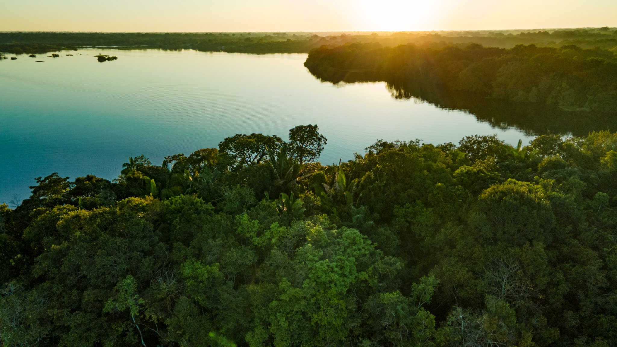 Liquid gold poured across the canopy — the jungle stretches endlessly in every direction. Aerial view of a wide Amazonian river at golden-hour sunset, surrounded by dense tropical forest canopy on both banks, seen on an Amazon trek and survival tour
