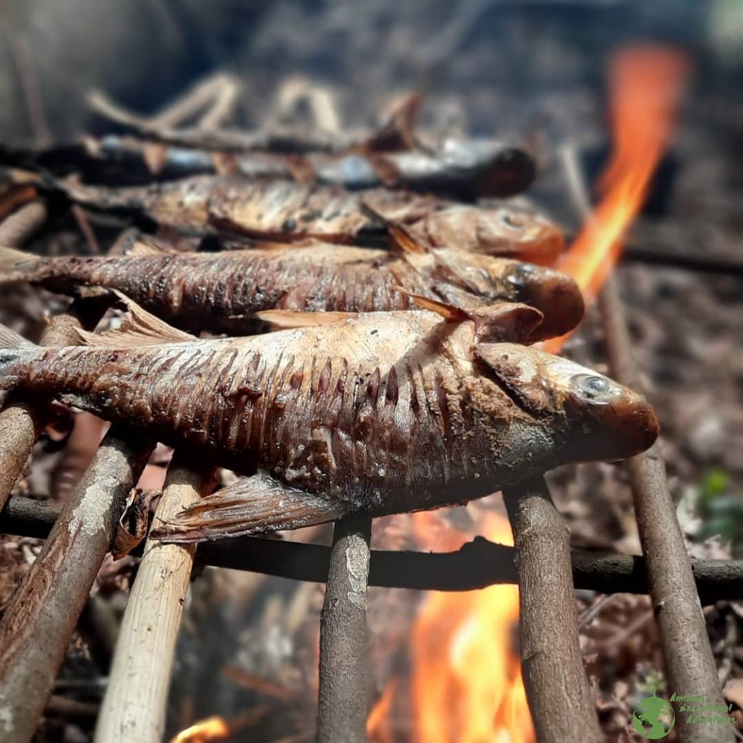 Caught, cleaned, and cooked over fire — dinner doesn't get more honest than this. Several small whole fish grilling over open flames on a rustic wooden rack during an Amazon trek and survival tour