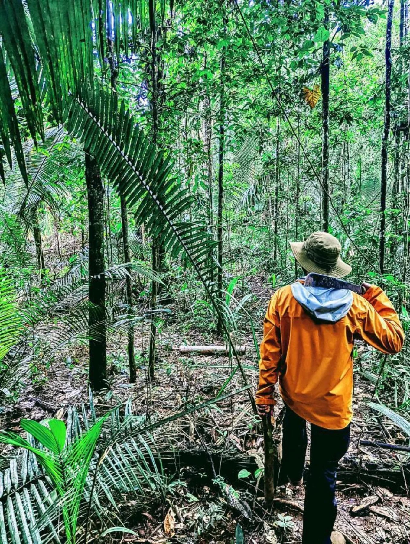 Orange jacket, machete in hand — the forest opens only for those who know how to read it. A guide in an orange jacket and wide-brimmed hat leads an Amazon trek and survival tour through dense rainforest undergrowth, carrying a machete among towering palms and tropical trees