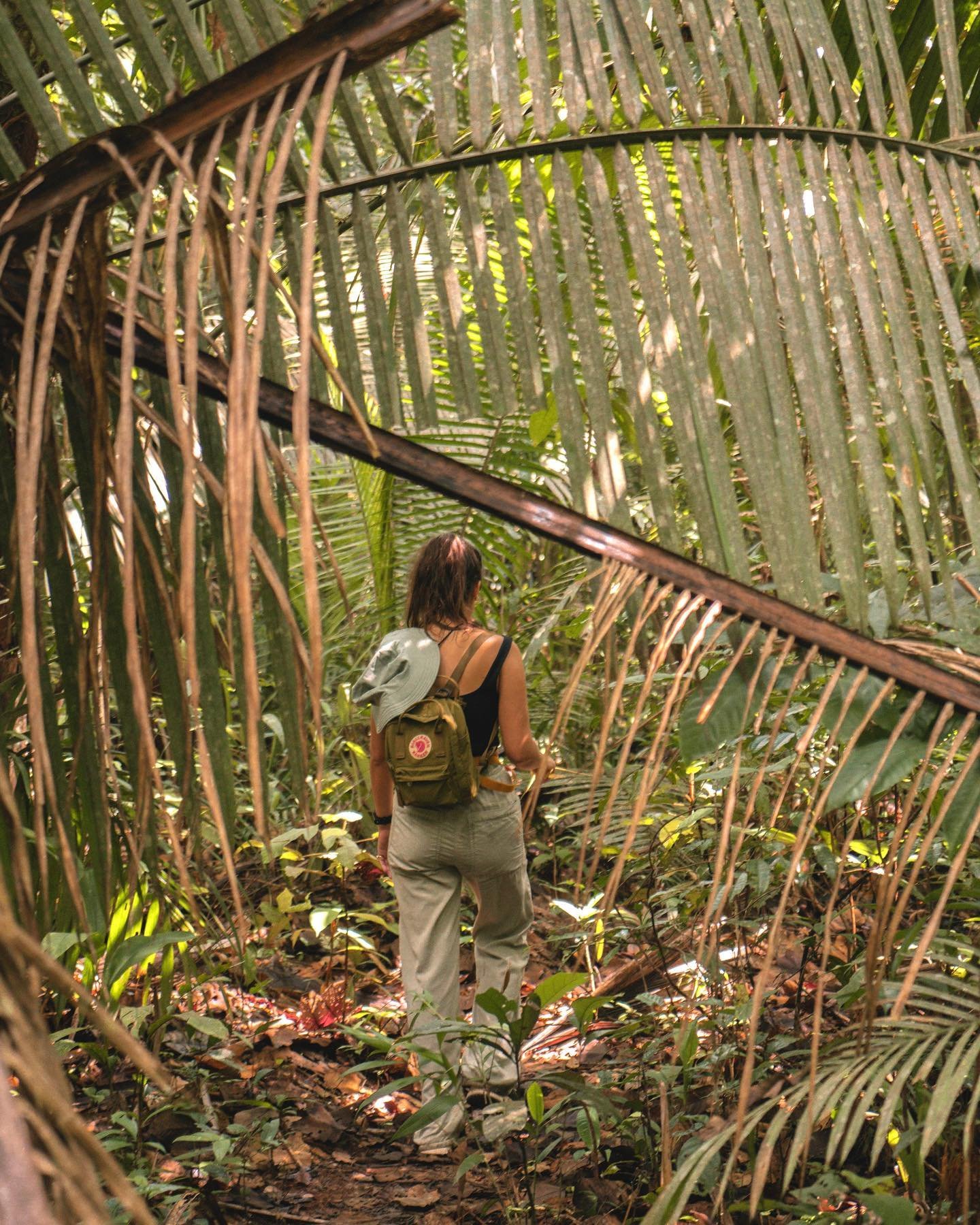 Palms arching overhead, the trail swallows you whole. A solo hiker with a green backpack and sun hat walks through a natural tunnel of arching palm fronds on an Amazon trek and survival tour