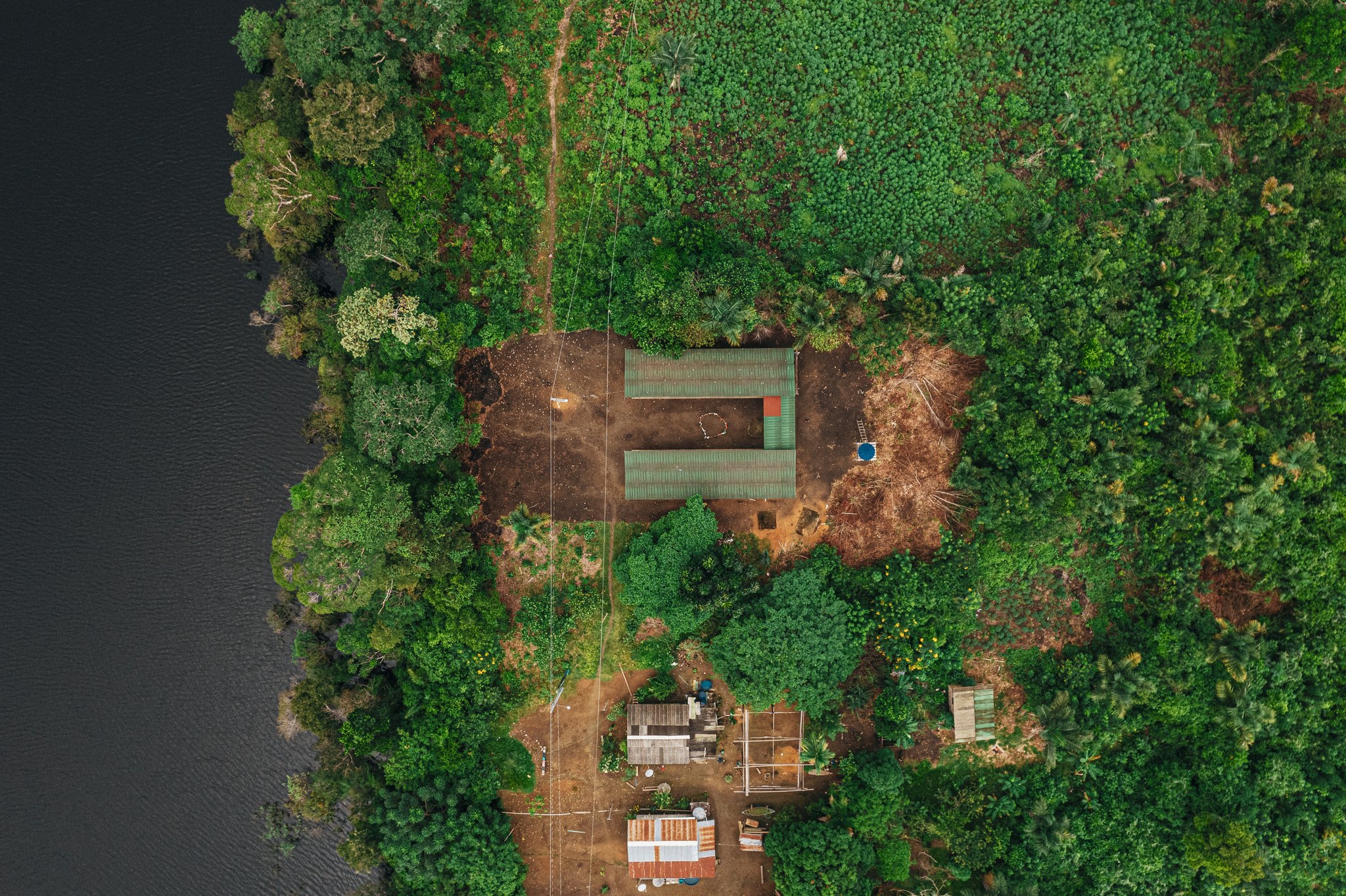 Tucked into the canopy, barely visible from above — the lodge lives inside the forest. Aerial drone view of Anavilhanas Jungle Lodge Brazil, with green-roofed buildings nestled in dense rainforest canopy beside a dark Rio Negro waterway and a small riverside community below