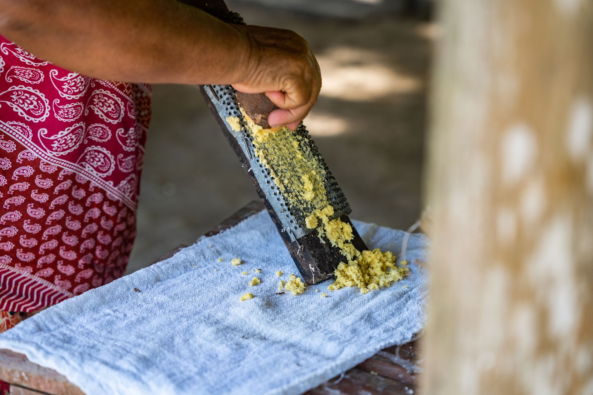 Flour from scratch — cassava grated by hand, just as it has been for generations. Photo: Alex Fisberg A local woman in a red patterned apron grating fresh cassava onto a cloth at the Anavilhanas Jungle Lodge Brazil riverside community visit