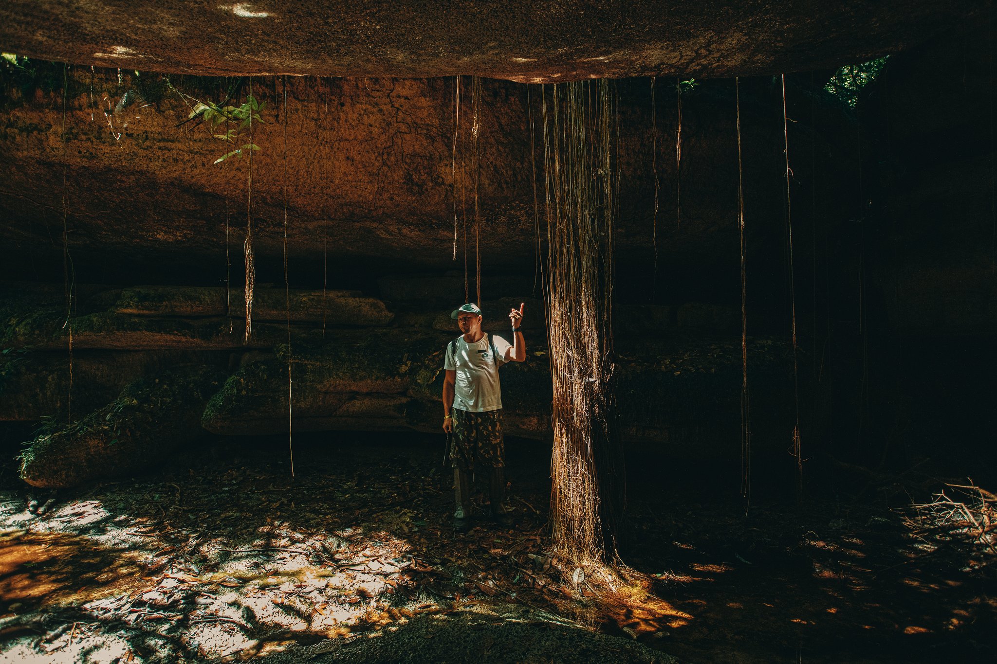 Roots threading through 700-million-year-old rock — the caves reward the curious. A guide points upward beneath a massive ancient rock overhang at the Madadá Caves, Anavilhanas Jungle Lodge Brazil, with long aerial roots cascading from the ceiling in dramatic golden light