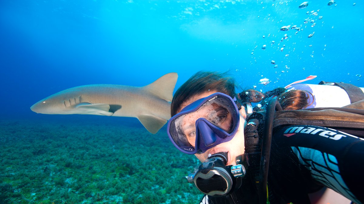 Scuba diver taking a close-up selfie with a reef shark gliding past in clear blue water during a Brazil adventure dive