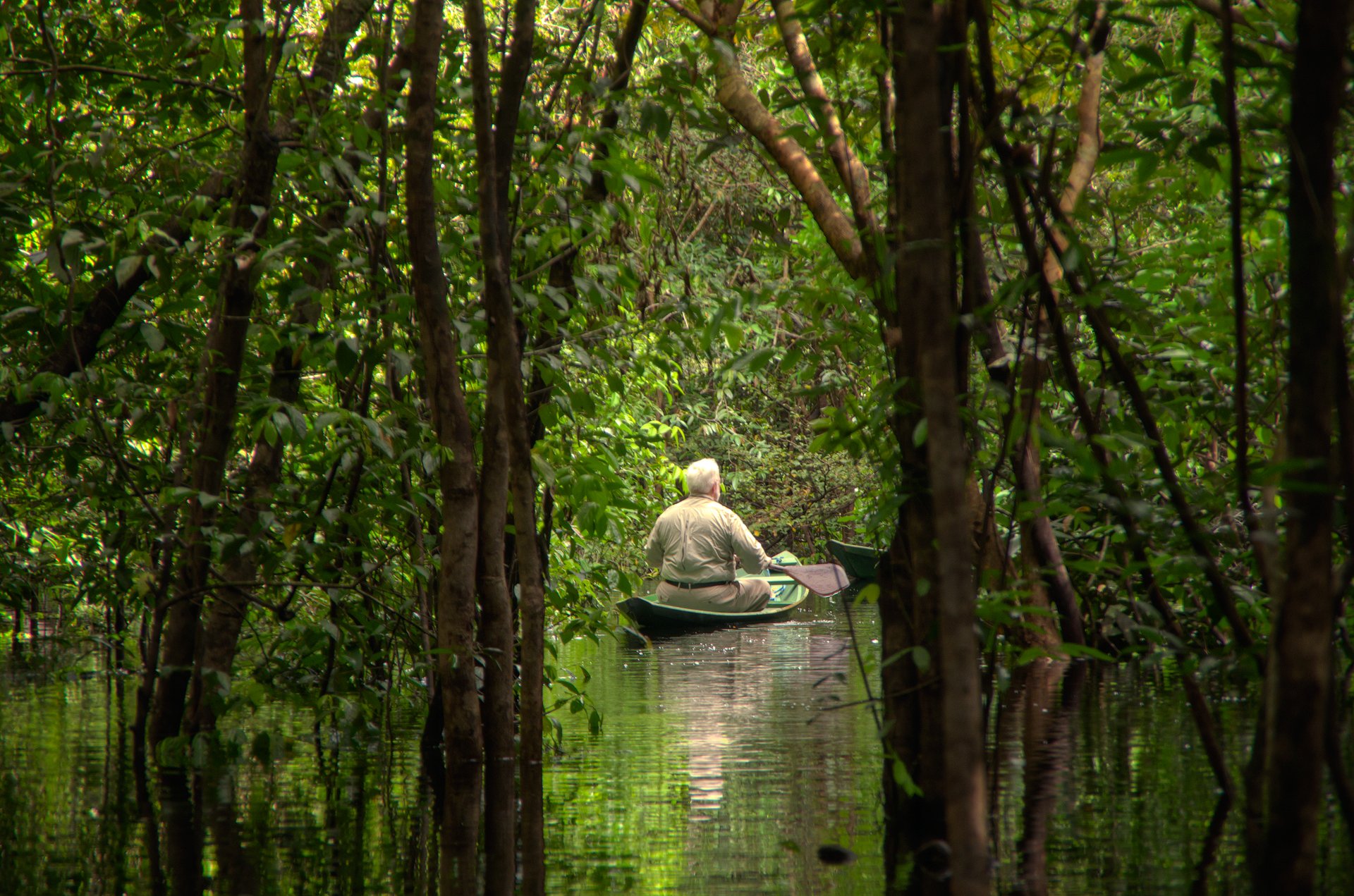 A traveler paddles a small green canoe through a flooded Amazon forest on a brazil luxury tour, surrounded by tall trees reflected in still dark water