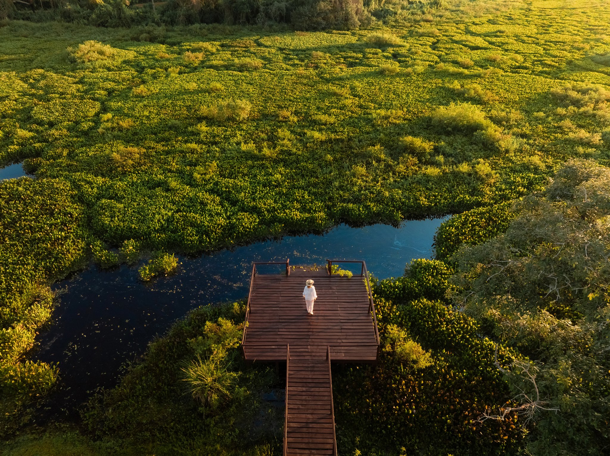 Aerial view of a traveler standing on a wooden observation deck surrounded by vast green Pantanal wetlands on a brazil luxury tour