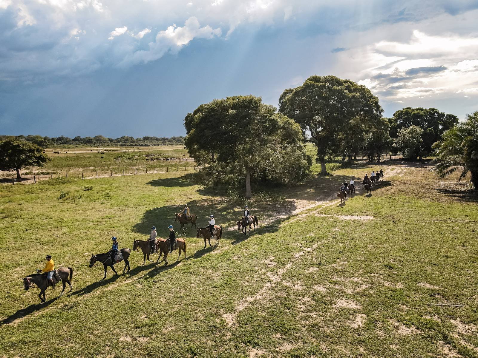 A line of riders on horseback crosses open green grassland during a budget Pantanal tour, with large shade trees and a dramatic storm-lit sky in the background