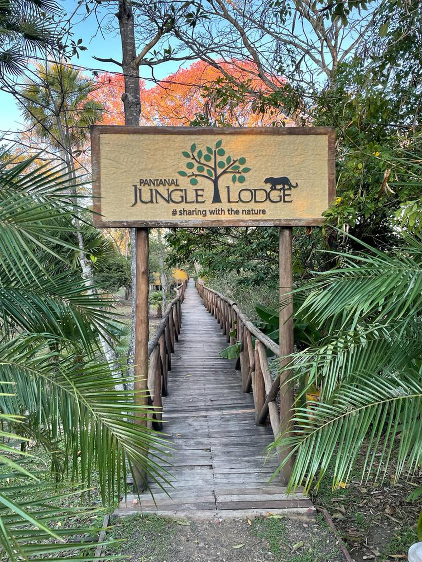 Wooden entrance sign reading 'Pantanal Jungle Lodge – sharing with the nature' above a rustic timber boardwalk leading into lush tropical vegetation, the starting point of a budget Pantanal tour