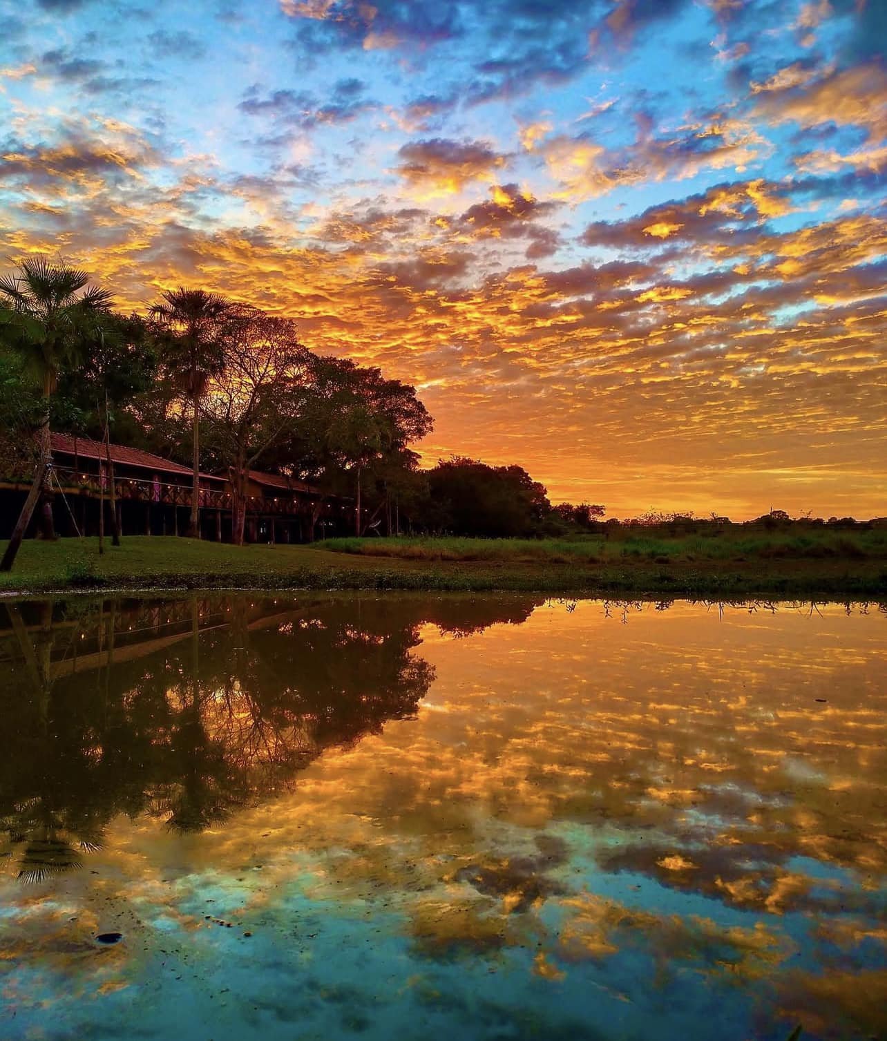 A fiery orange and gold sunset sky reflected perfectly in a still waterway beside a rustic thatched lodge on a budget Pantanal tour, with silhouetted palm trees and tropical vegetation lining the bank