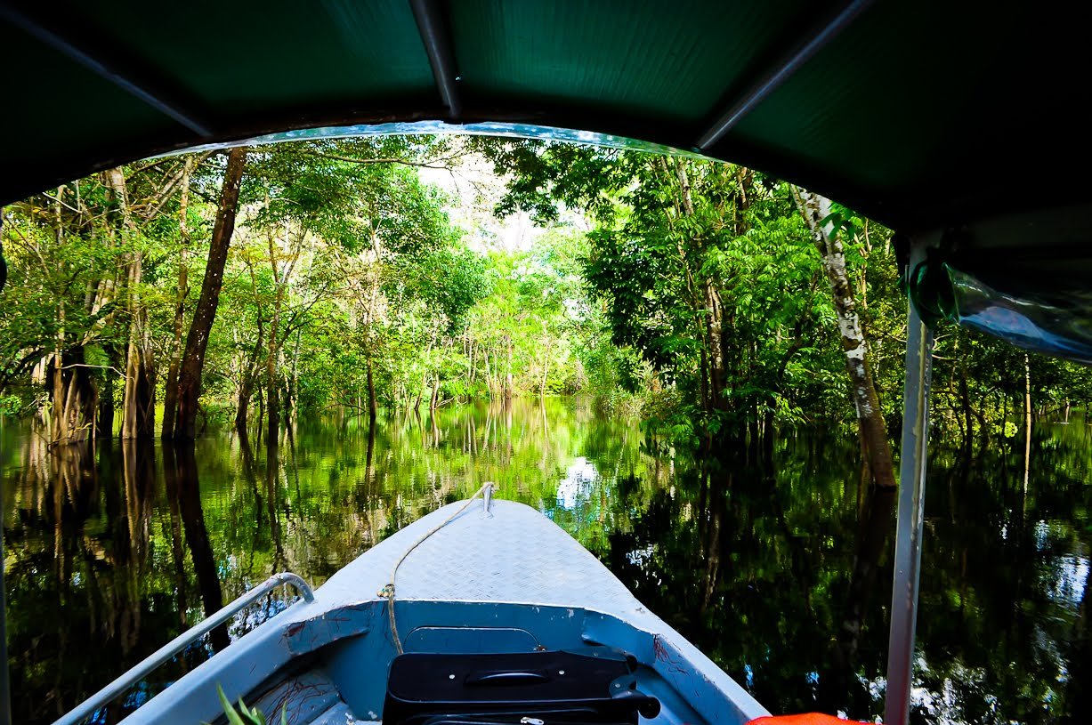 The boat slips into a narrow channel where the forest closes in overhead. View from a canopied boat gliding through a narrow flooded-forest channel on Amazon rainforest trips