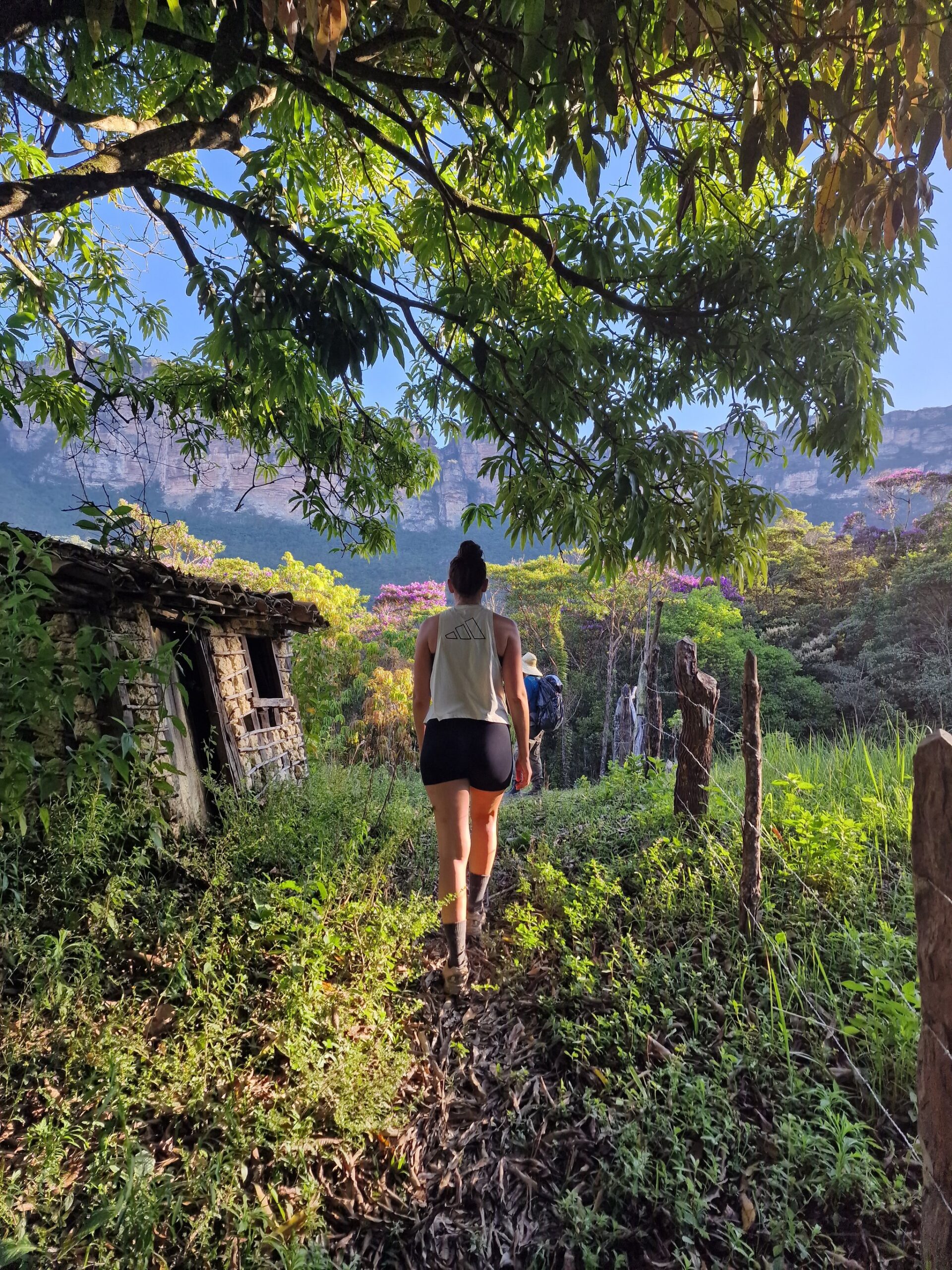 An old stone wall, a lush trail, and the mountains waiting ahead. Photo: Rasmus Soeby A hiker walks past a moss-covered stone ruin on a Chapada Diamantina trek, with flowering pink trees and dramatic sandstone cliffs rising in the background