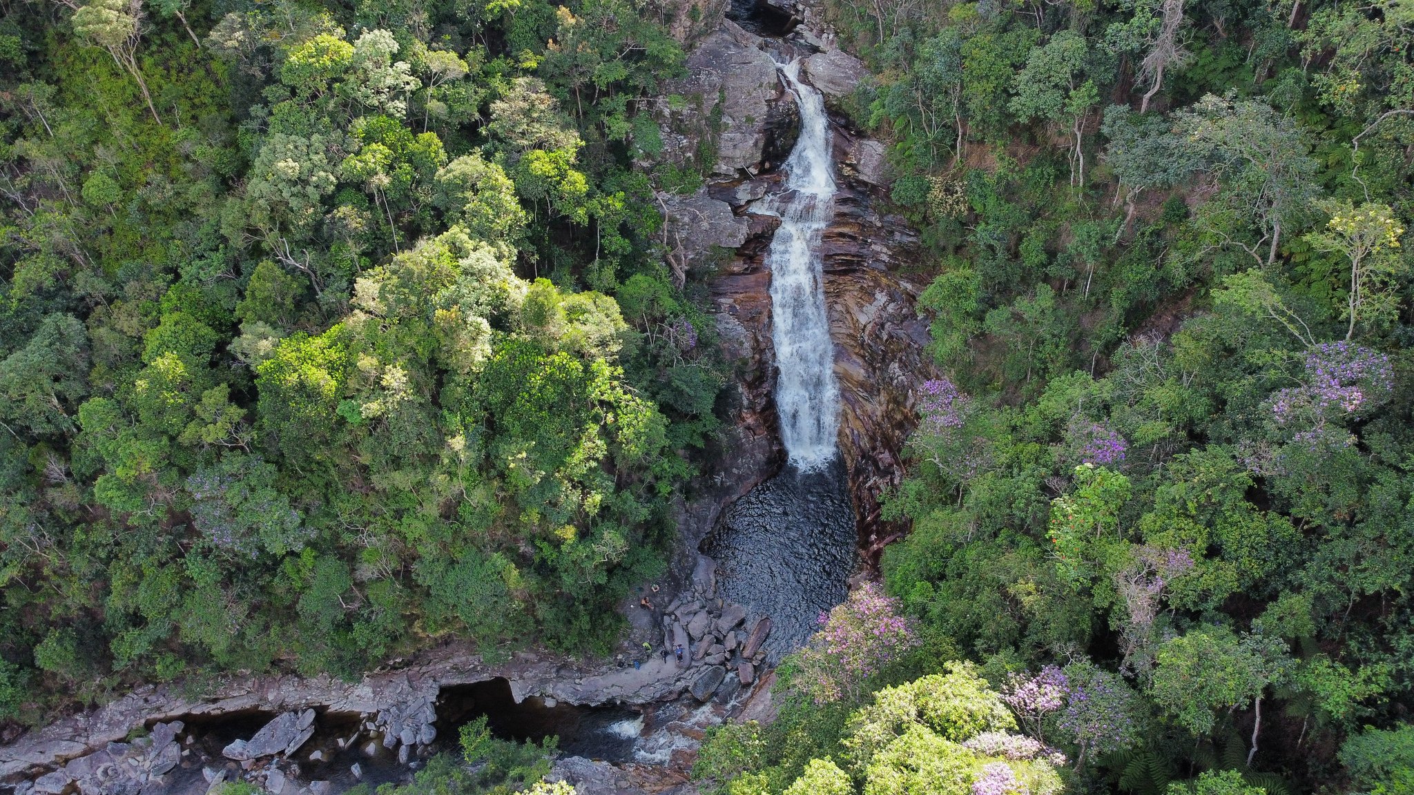 Thirty metres of free fall, one very cool pool waiting below. Aerial view of a tall waterfall cascading down iron-stained rock into a dark natural pool, surrounded by dense green forest with purple-flowering trees on a Chapada Diamantina trek