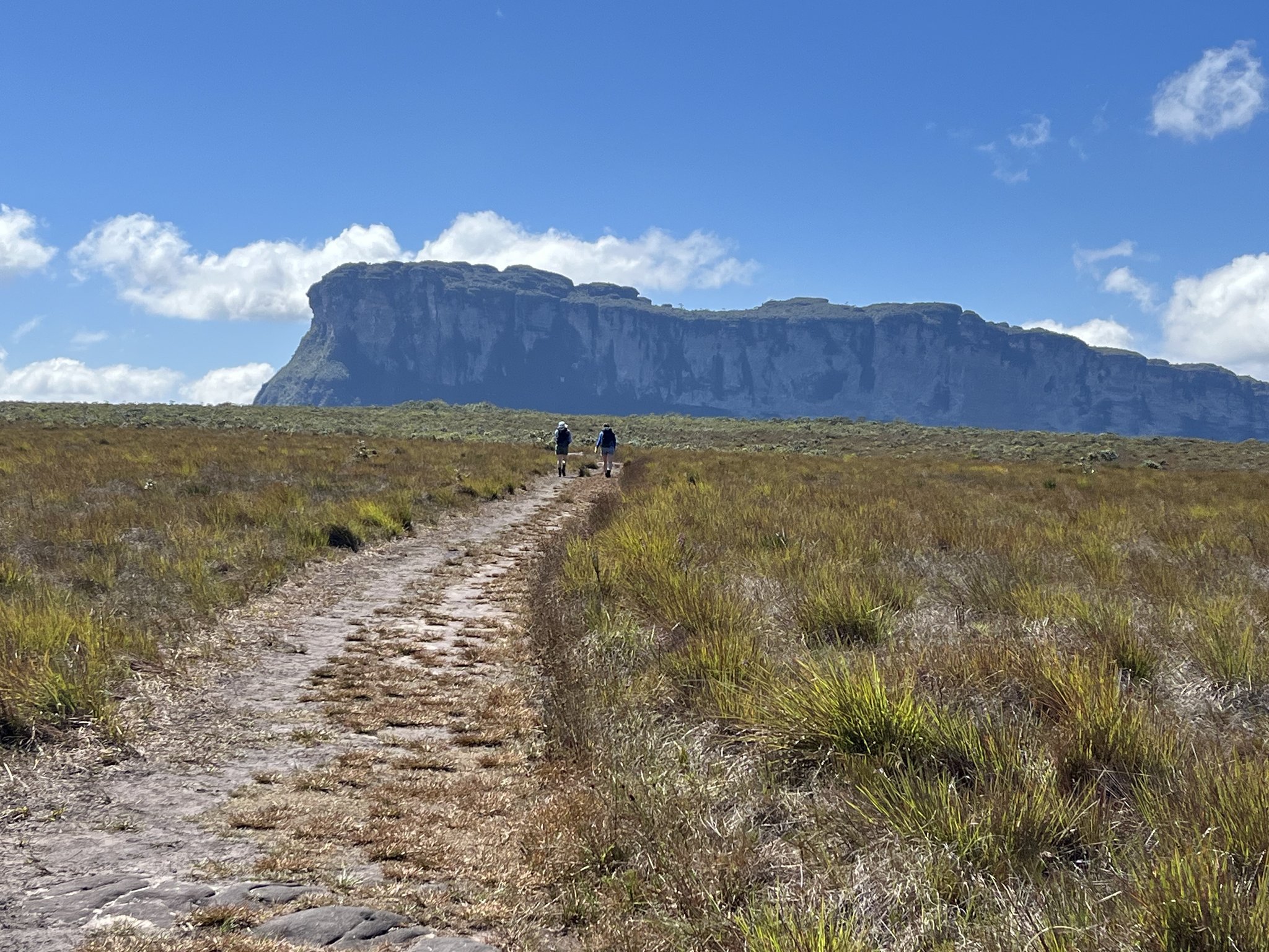 Small figures, ancient mesa, boundless sky ahead. Two hikers walking a narrow stone trail through open savanna grassland on a Chapada Diamantina trek, with a massive flat-topped tepui cliff rising under a blue sky