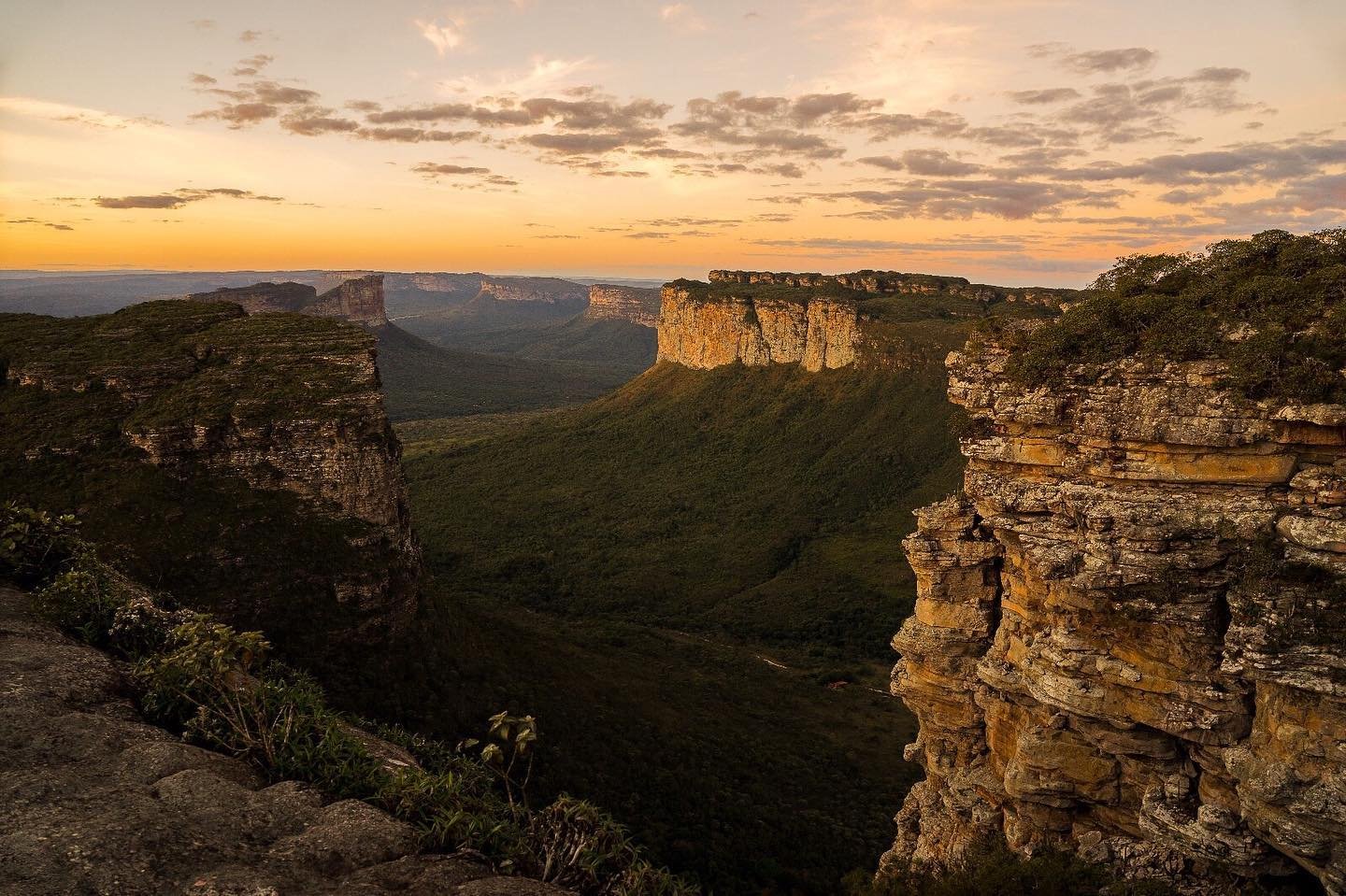Golden sunset light washing over layered sandstone cliffs and a vast forested valley with flat-topped tepui formations stretching to the horizon on a Chapada Diamantina trip