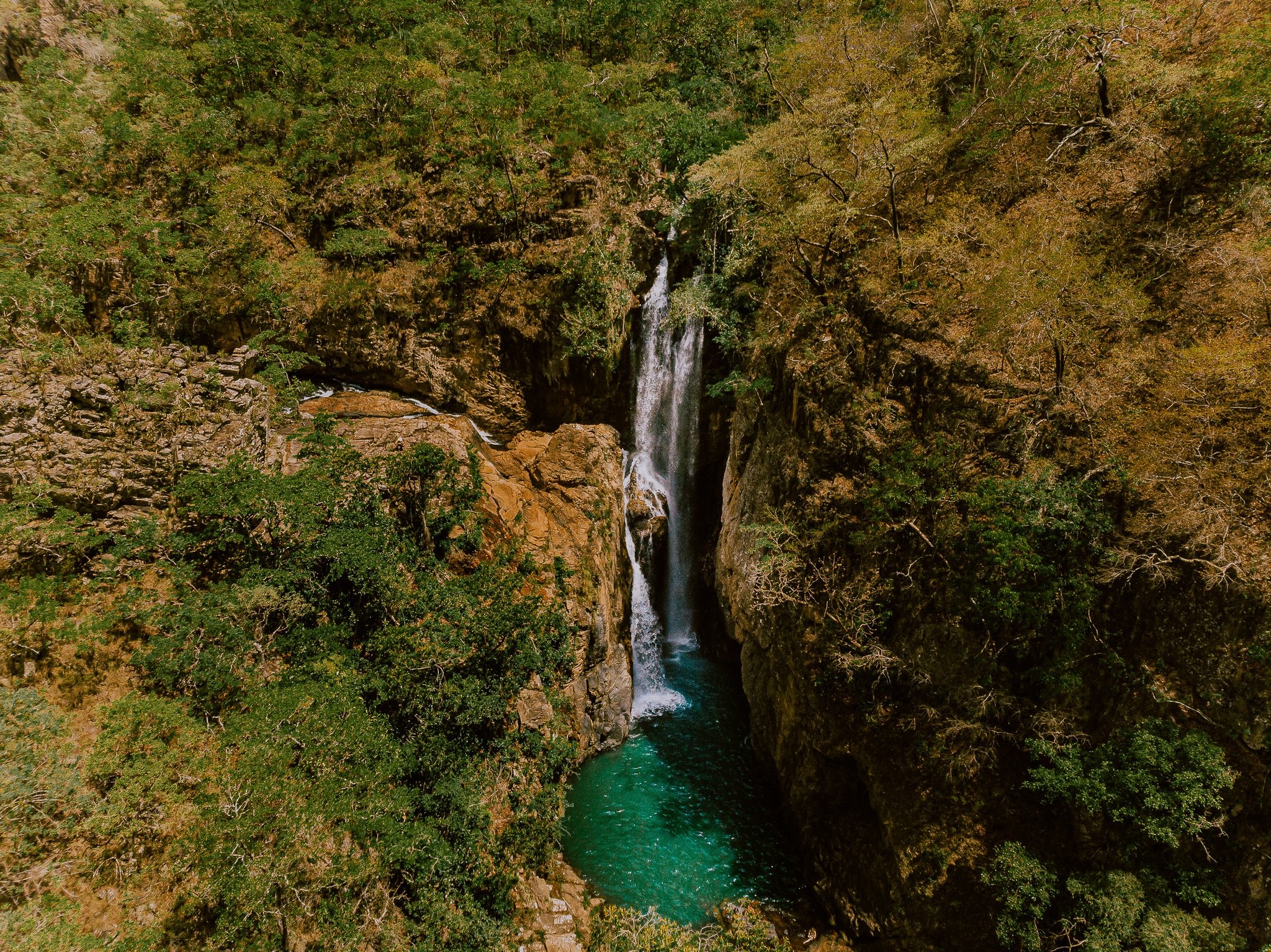 Aerial view of a tall waterfall cascading into a turquoise pool surrounded by Cerrado forest in Chapada dos Veadeiros tours