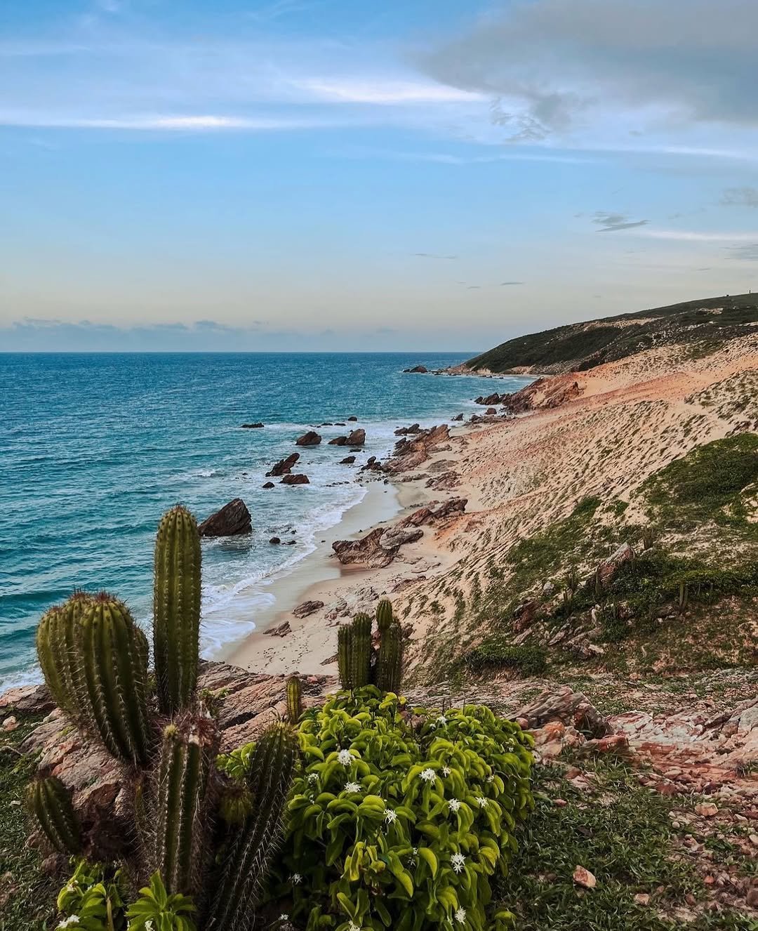 Caatinga meets the sea — cacti on the clifftop, wild sand below. Photo 1