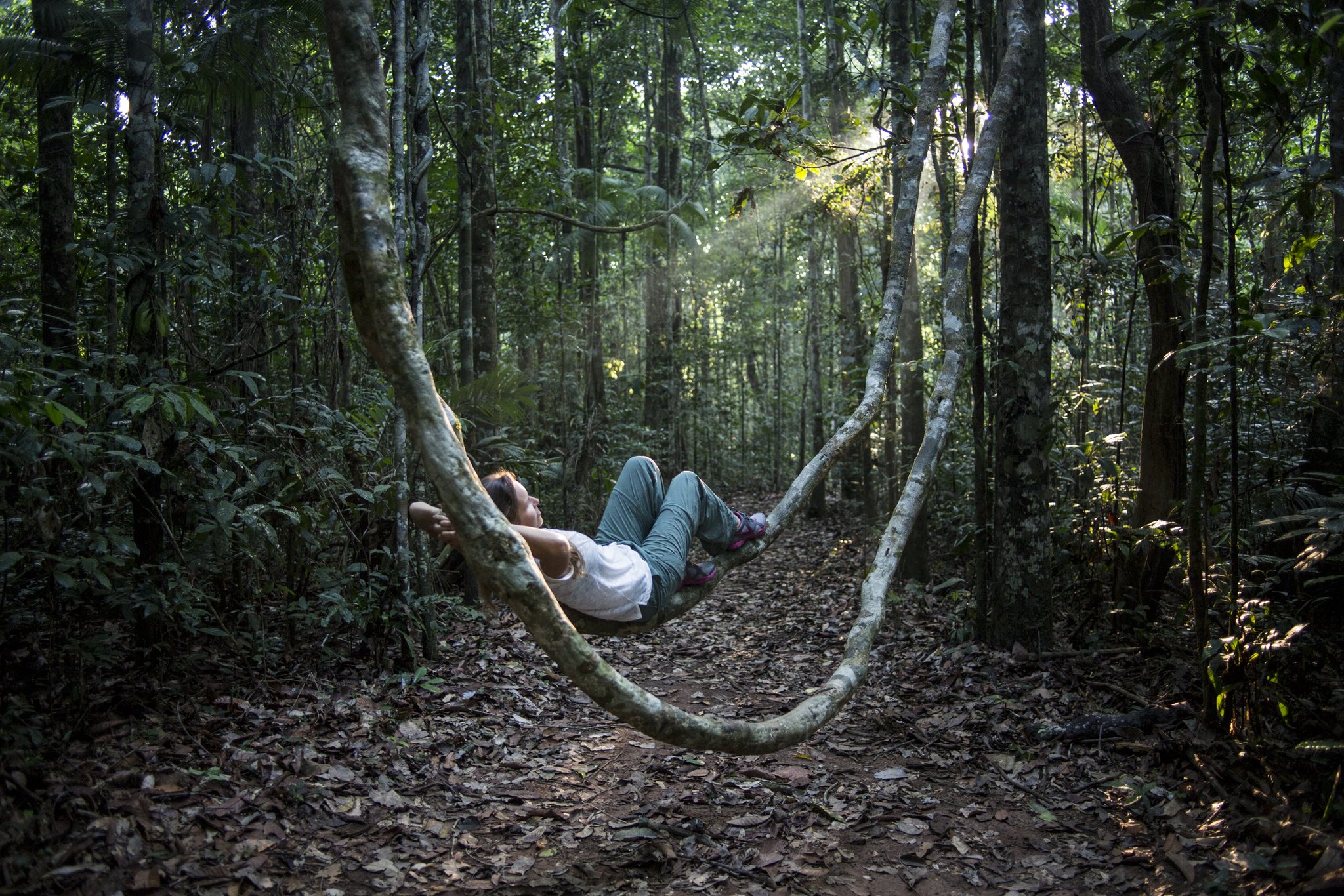 A traveller lying back and gazing upward while resting on two arching lianas in the dense rainforest understorey at Cristalino Jungle Lodge