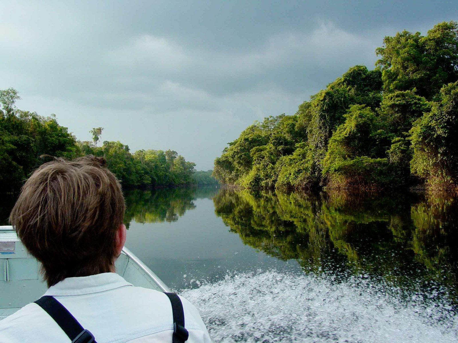A passenger looks ahead from a motorboat gliding along a mirror-calm jungle river flanked by dense rainforest canopy at Cristalino Jungle Lodge