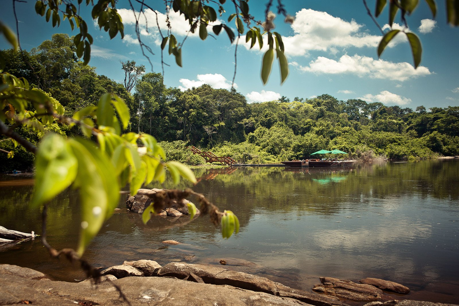 A calm river reflects dense rainforest canopy, with the Cristalino Jungle Lodge floating dock and green umbrellas visible across the water, framed by close-up leaves and flat riverside rocks in the foreground