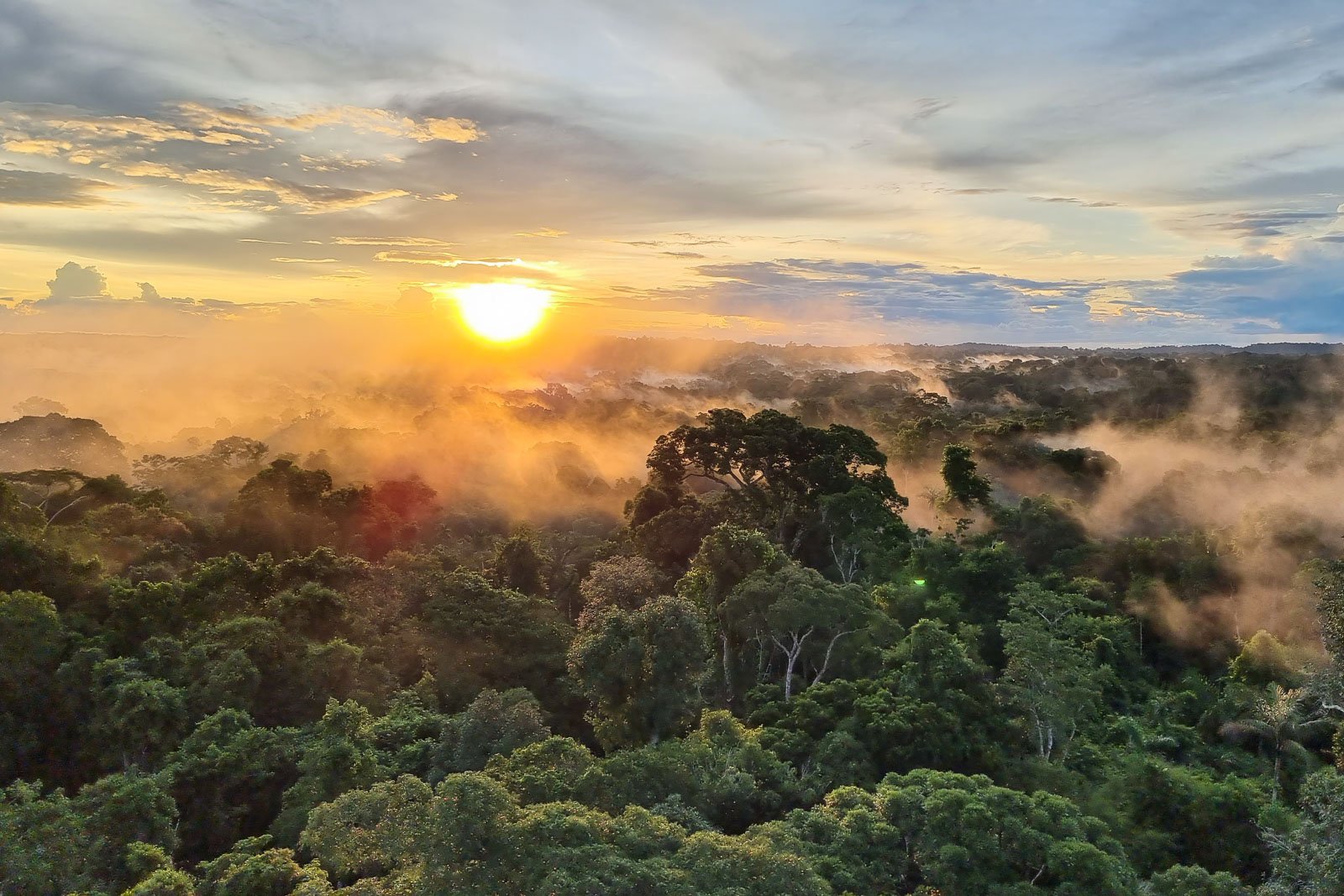 Golden sunrise breaking over a misty tropical rainforest canopy at Cristalino Jungle Lodge, with morning fog drifting between the treetops under a dramatic sky