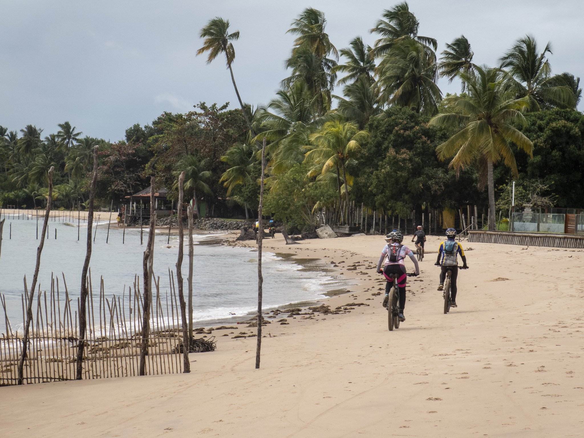 Miles of golden sand, swaying palms, and open sky — the Bahia coast by bike. A group of cyclists riding along a sandy beach lined with coconut palms near Itacaré during a cycling Bahia tour