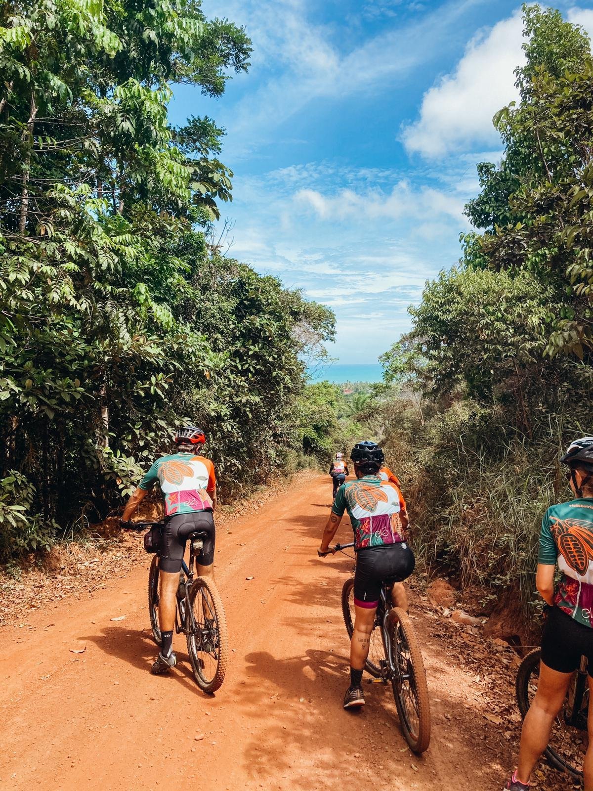 Red earth, green canopy, blue sea ahead — the Cocoa Route delivers. Group of cyclists riding mountain bikes along a red dirt road through lush Atlantic Forest toward the ocean on a cycling Bahia tour near Itacaré