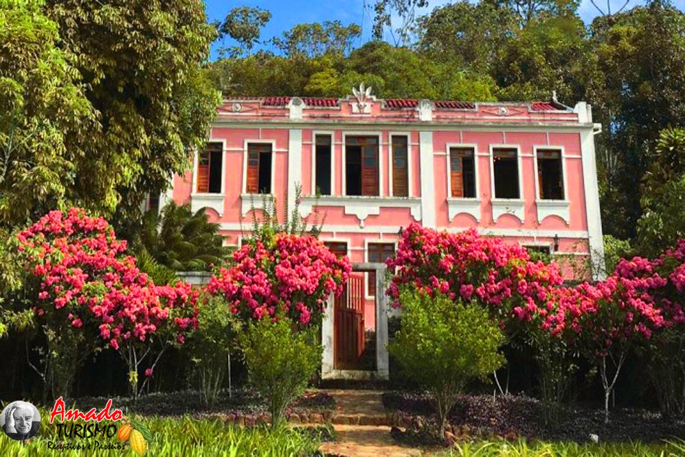 Fazenda Vila Rosa — where cocoa heritage blooms behind bougainvillea-lined gardens. Pink two-storey colonial manor at Fazenda Vila Rosa surrounded by blooming bougainvillea and lush Atlantic Forest trees on the cycling Bahia cocoa route