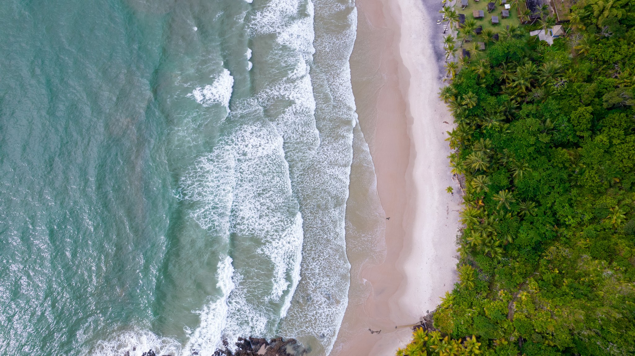 Where the Atlantic Forest meets the sea — Itacaré's wild coast from above. Photo: Pedro Truffi Aerial drone view of a pristine sandy beach in Itacaré, Bahia, where turquoise Atlantic waves meet the shore and dense tropical forest edges the coastline — a highlight of cycling Bahia's Cocoa Route
