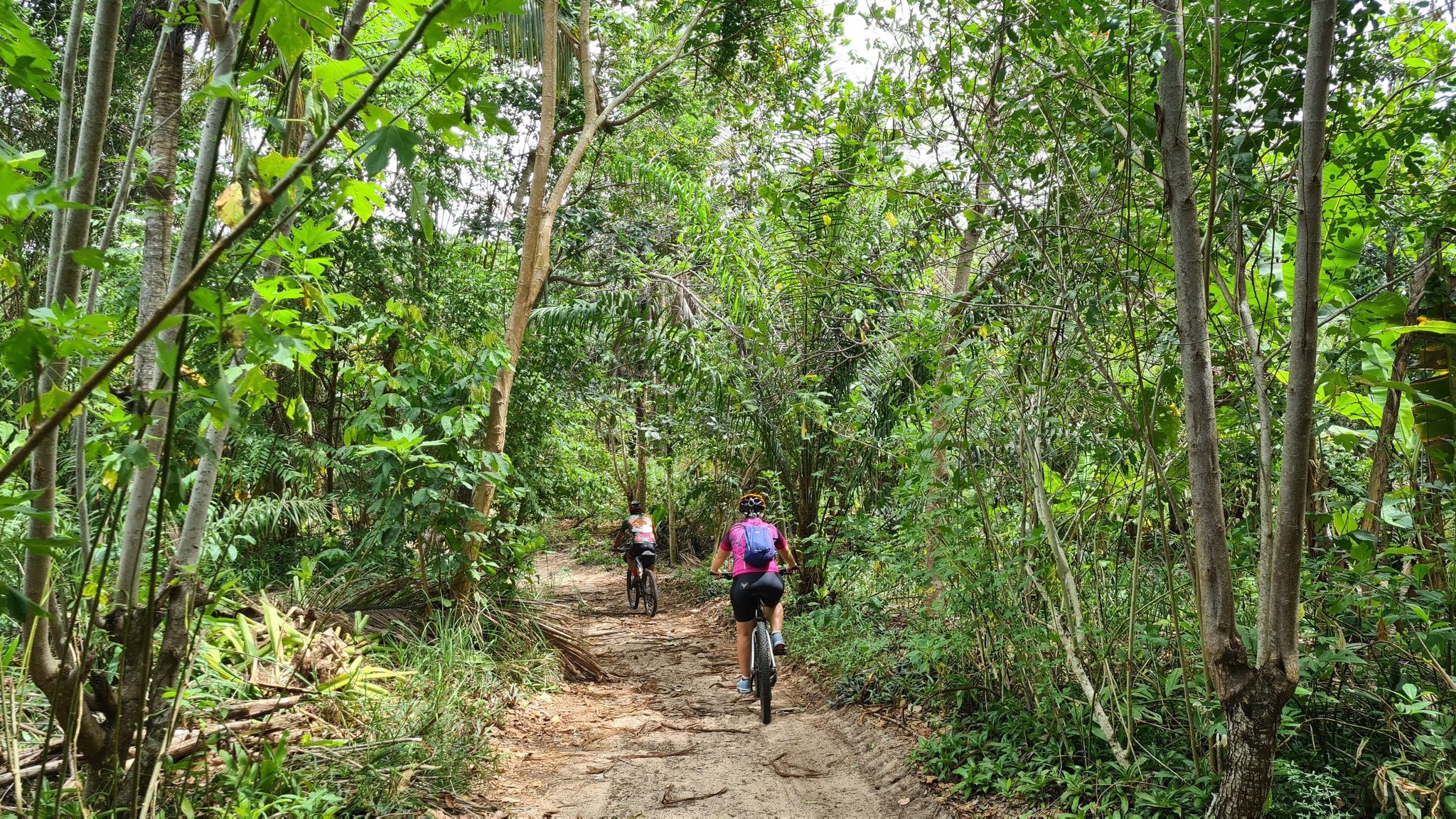 Two cyclists riding single-file along a narrow dirt trail through dense Atlantic Forest green canopy near Itacaré on a cycling Bahia adventure