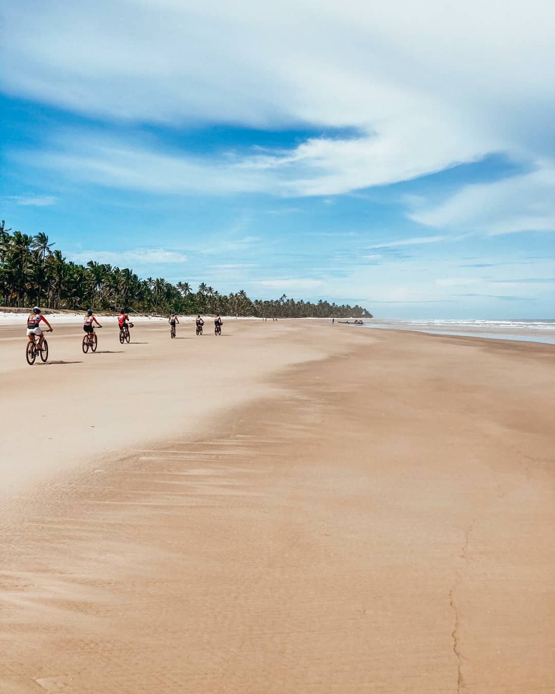 Miles of golden sand, swaying palms, and open sky — welcome to the Bahia coast by bike. A group of cyclists riding along a vast sandy beach lined with coconut palms under a bright blue sky in Bahia, Brazil, on a cycling Bahia adventure