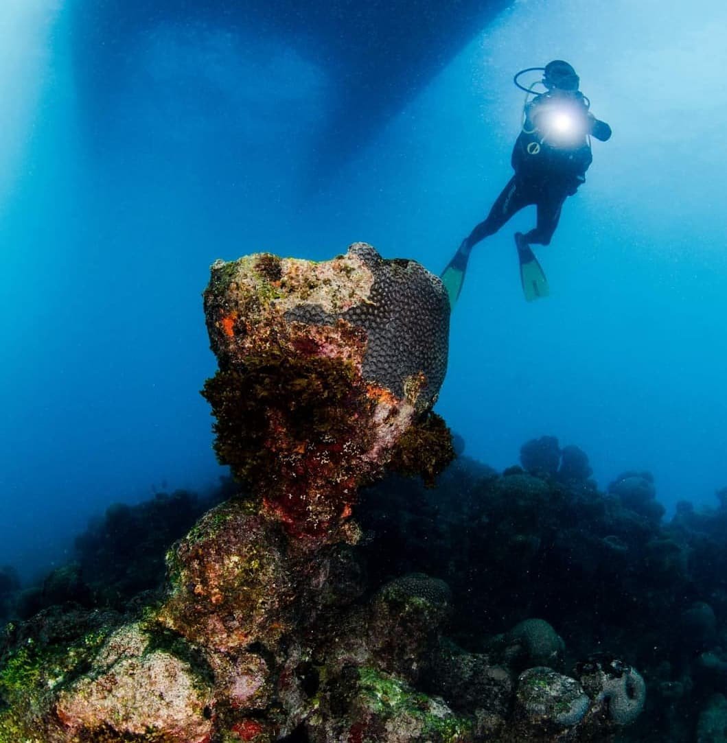 A scuba diver with a torch light hovers above a large encrusted coral formation on the rocky reef floor during a diving liveaboard Abrolhos expedition, with deep blue water and rays of light filtering from the surface