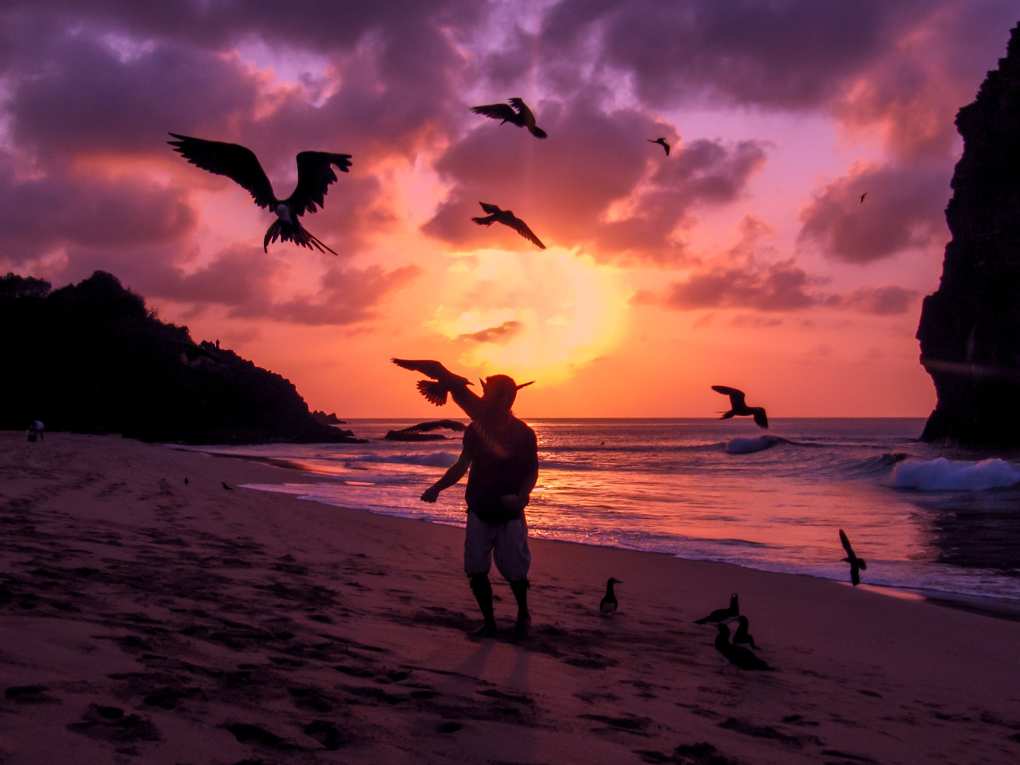 A person silhouetted on a sandy beach in Fernando de Noronha as seabirds swirl overhead against a vivid purple and orange sunset sky
