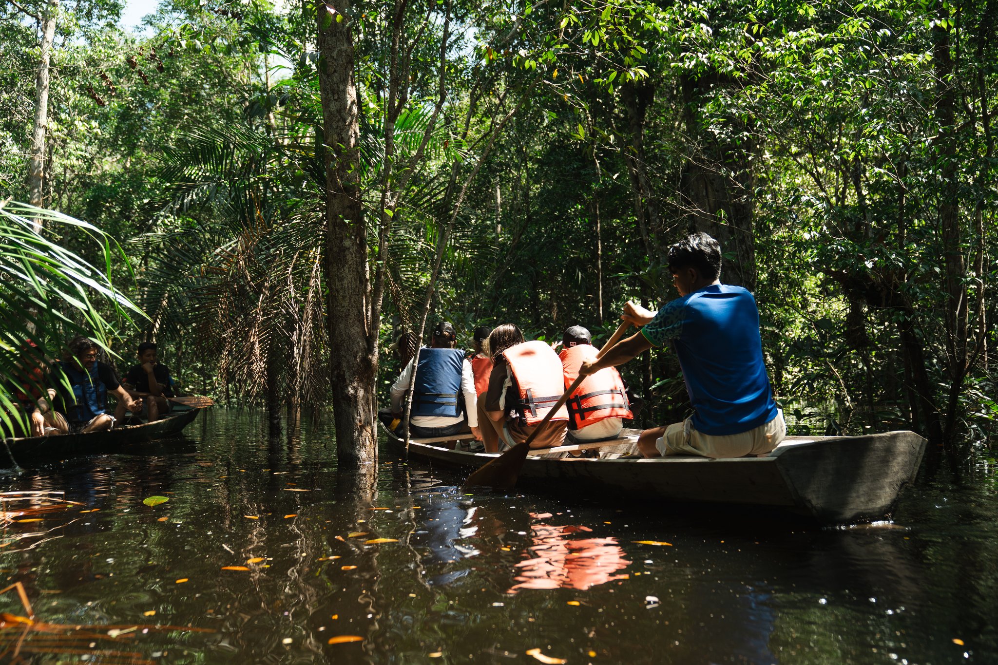 A local guide leads the group by dugout canoe deep into the flooded forest. Group of travelers paddling dugout canoes through the flooded forest with a guide on Amazon rainforest trips