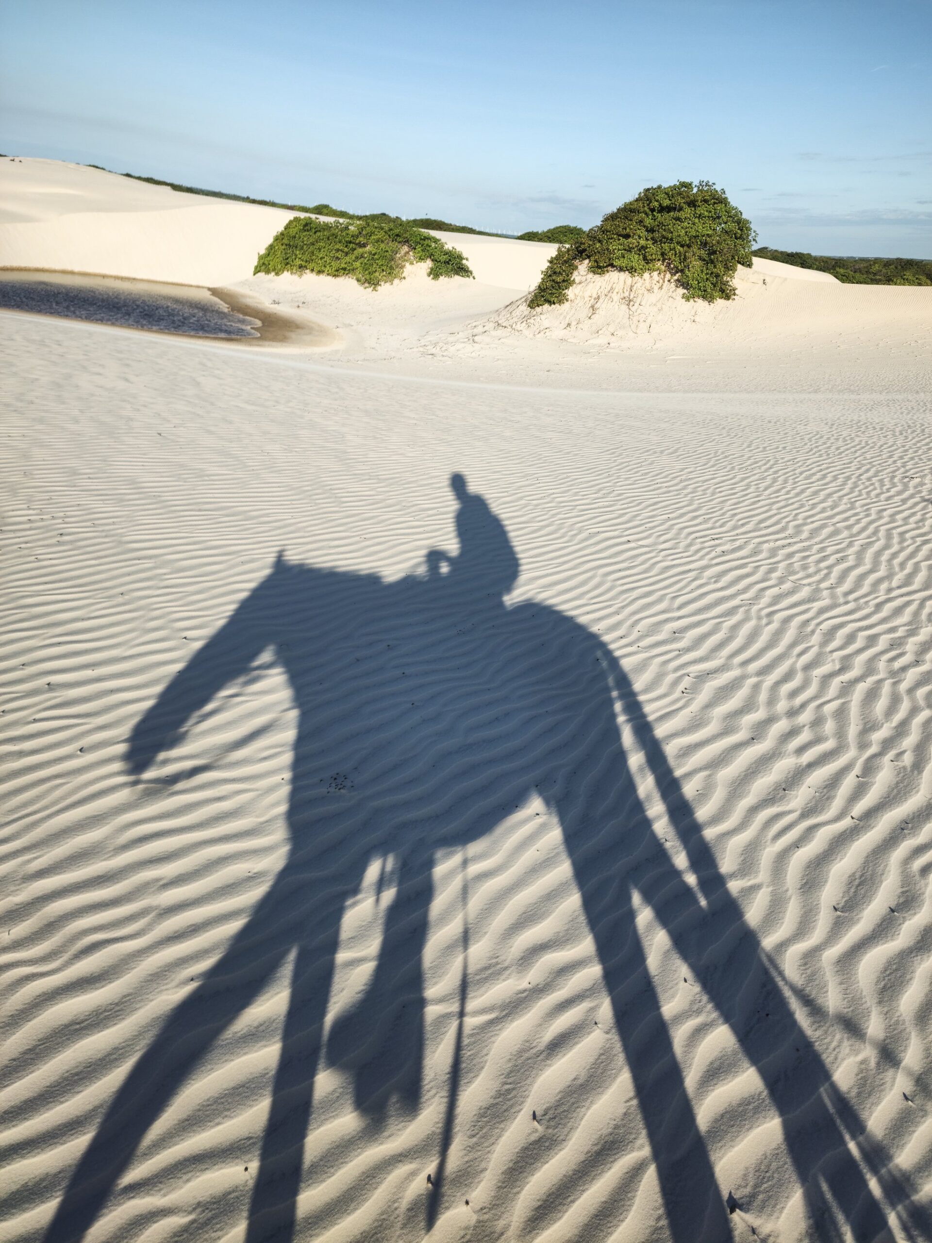 Horseback Riding Lençóis Maranhenses Tour