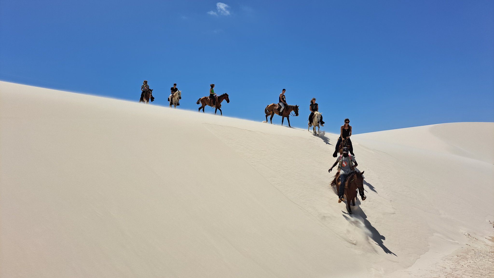 Seven riders, one spectacular ridge — hoofprints in the white sand. A line of riders on horseback descends a steep white sand dune crest during a horseback riding Lençóis Maranhenses tour, set against a vivid blue sky