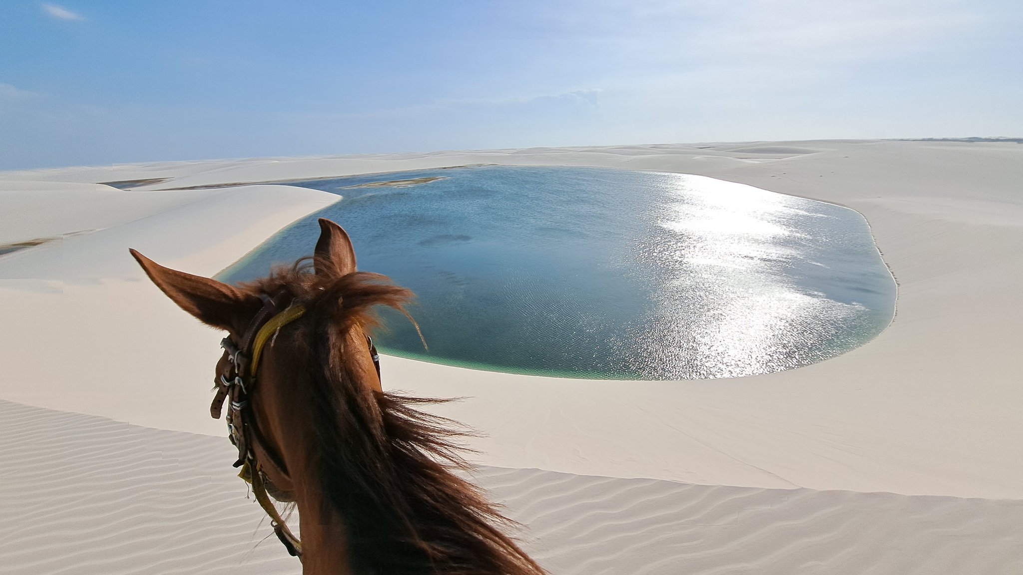View from horseback over a rider's chestnut horse toward a glittering turquoise lagoon nestled between white sand dunes on a horseback riding Lençóis Maranhenses tour