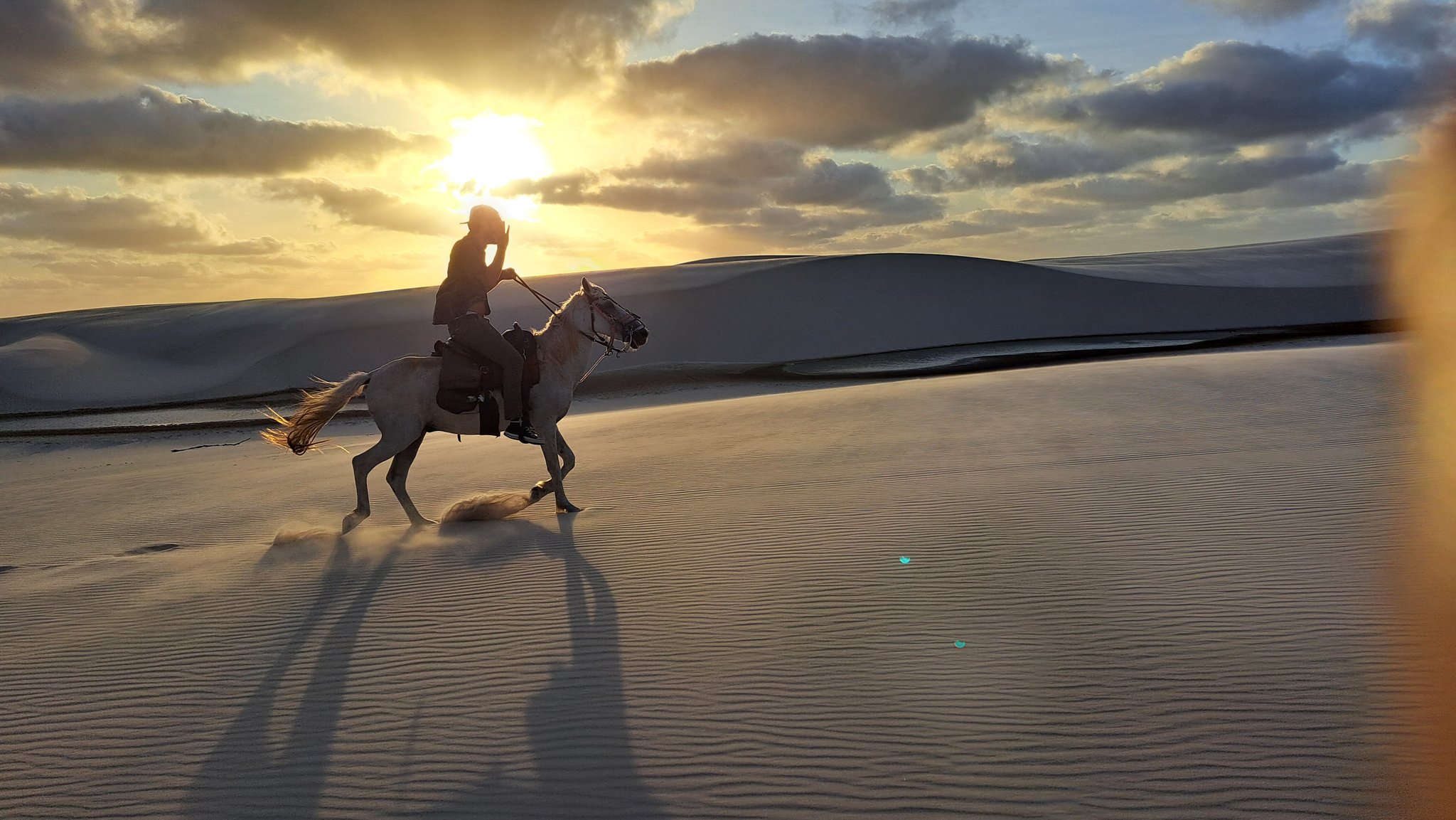 Sand flying, sun blazing — a full gallop through the dunes. A rider on a white horse canters across rippled white sand dunes at golden sunset during a horseback riding Lençóis Maranhenses tour, long shadows stretching across the dune face with lagoons glinting in the background