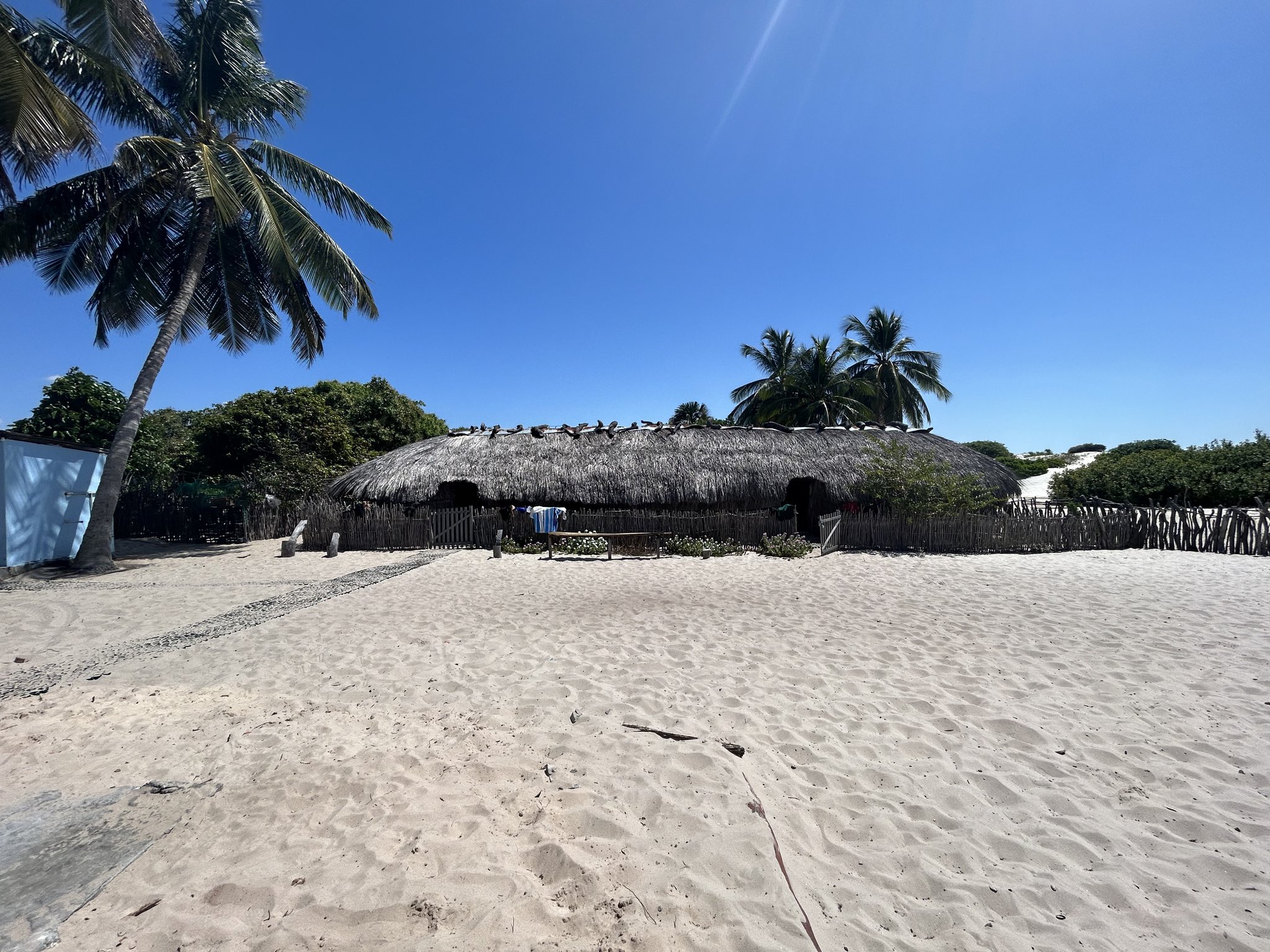 Palm shade, pale sand, and a thatched roof — community life on the dunes. A wide thatched-roof lodge surrounded by a rustic wooden fence, coconut palms, and white sand dunes under a clear blue sky on the horseback riding Lençóis Maranhenses tour