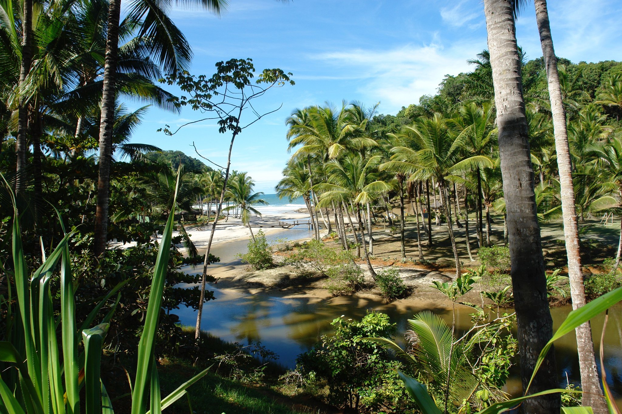 A shallow river winds through dense coconut palms toward a white-sand beach on an itacaré tour in Bahia, Brazil, with Atlantic Forest hills rising behind