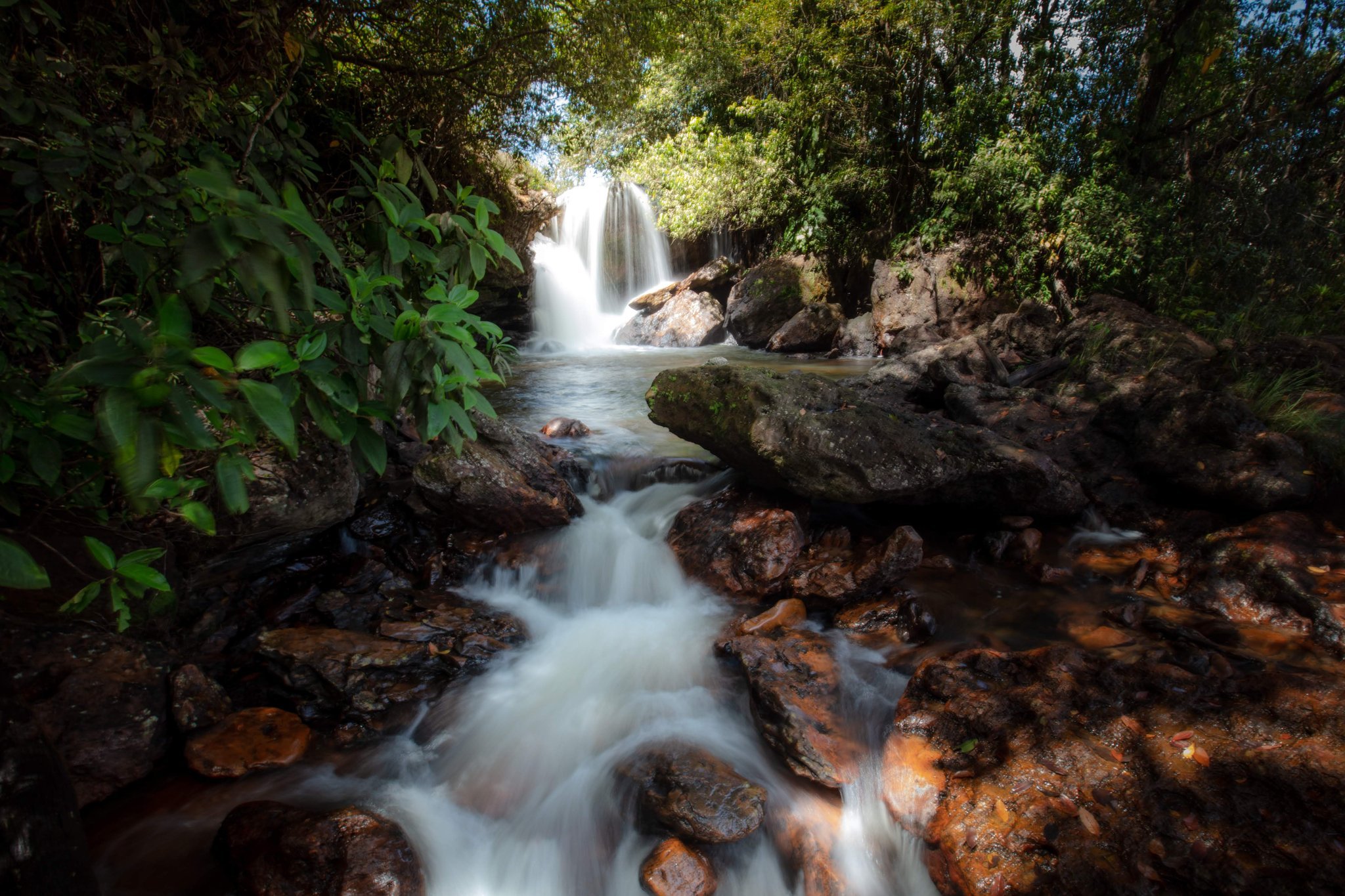 Cool water over ancient stone, deep in the forest. Photo: Alberto Andrich A silky waterfall tumbles through dense tropical forest into a rocky stream on a Jalapão adventure, with iron-red boulders and lush green foliage framing the cascading water