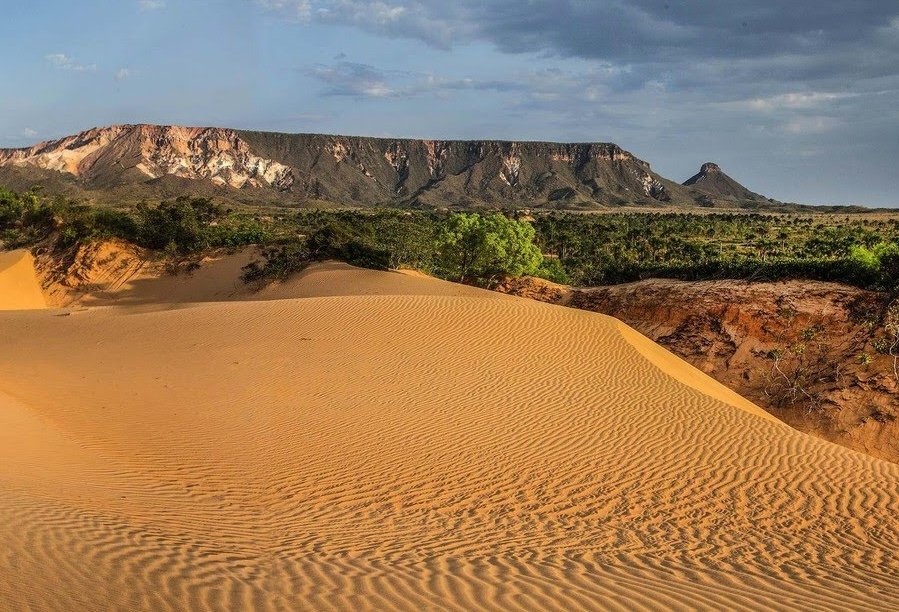 Wind-rippled golden sand dunes in the foreground of a jalapão adventure landscape, with a flat-topped sandstone mesa and green cerrado vegetation under a dramatic cloudy sky