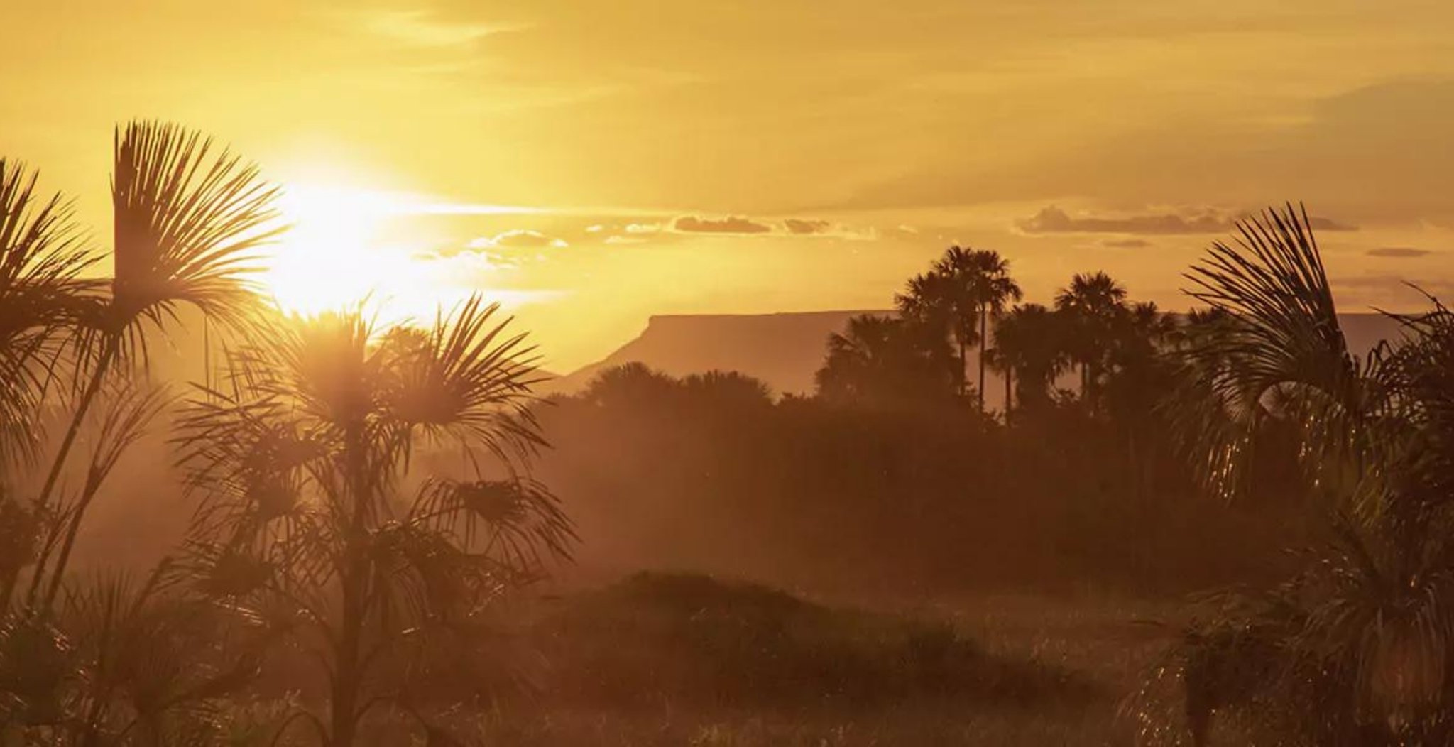 5-day Jalapão Adventure in Brazil