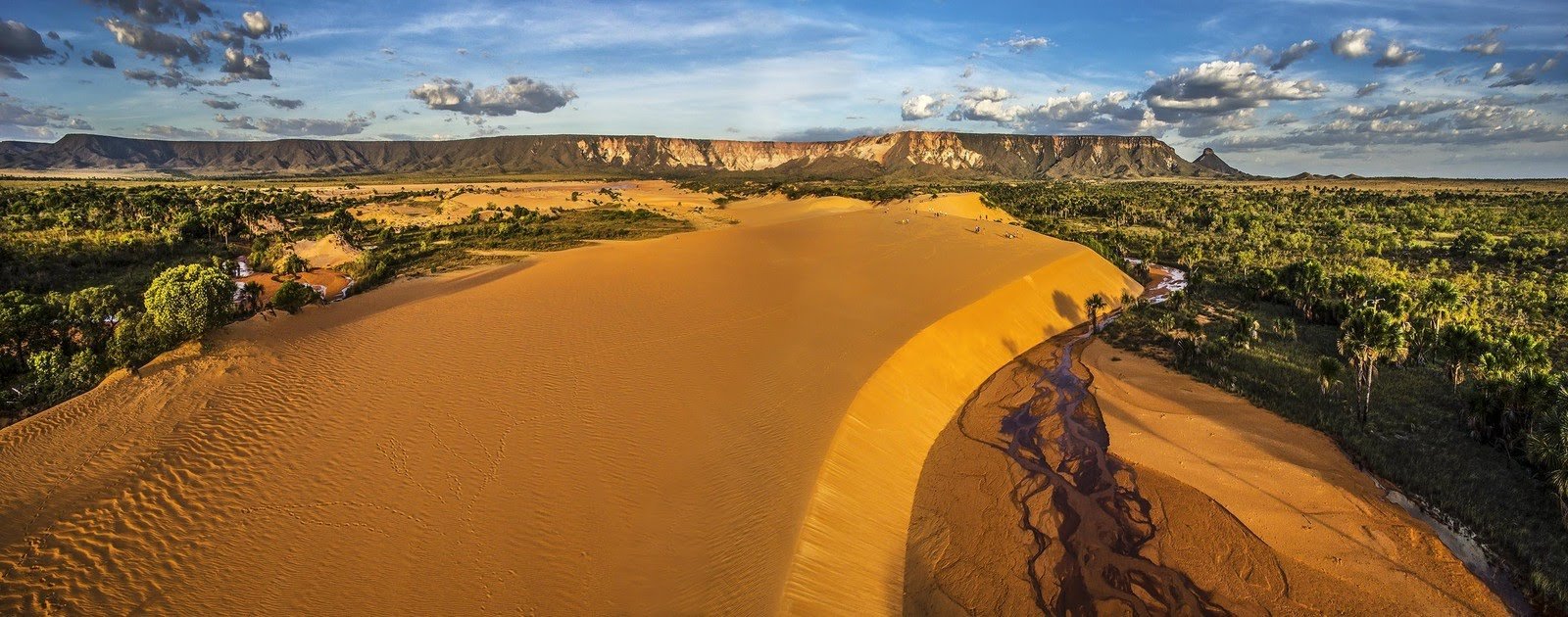Aerial panorama of Jalapão tours highlight: a sweeping golden sand dune ridge flanked by dense Cerrado palm savanna, with a winding stream channel at its base and flat-topped sandstone mesa formations rising on the horizon under a dramatic cloudy sky