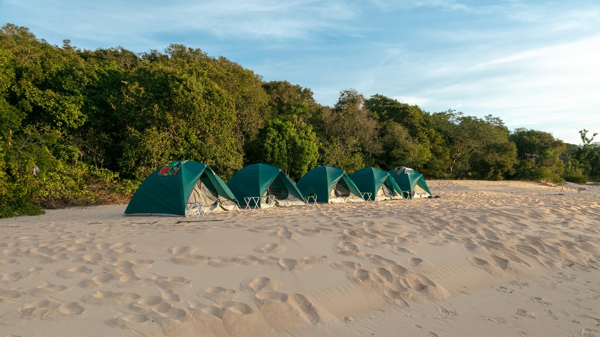 A row of five green dome tents pitched on white sand at the edge of a dense green forest during a Jalapão trekking expedition, with folding stools beside each tent and a clear blue sky above