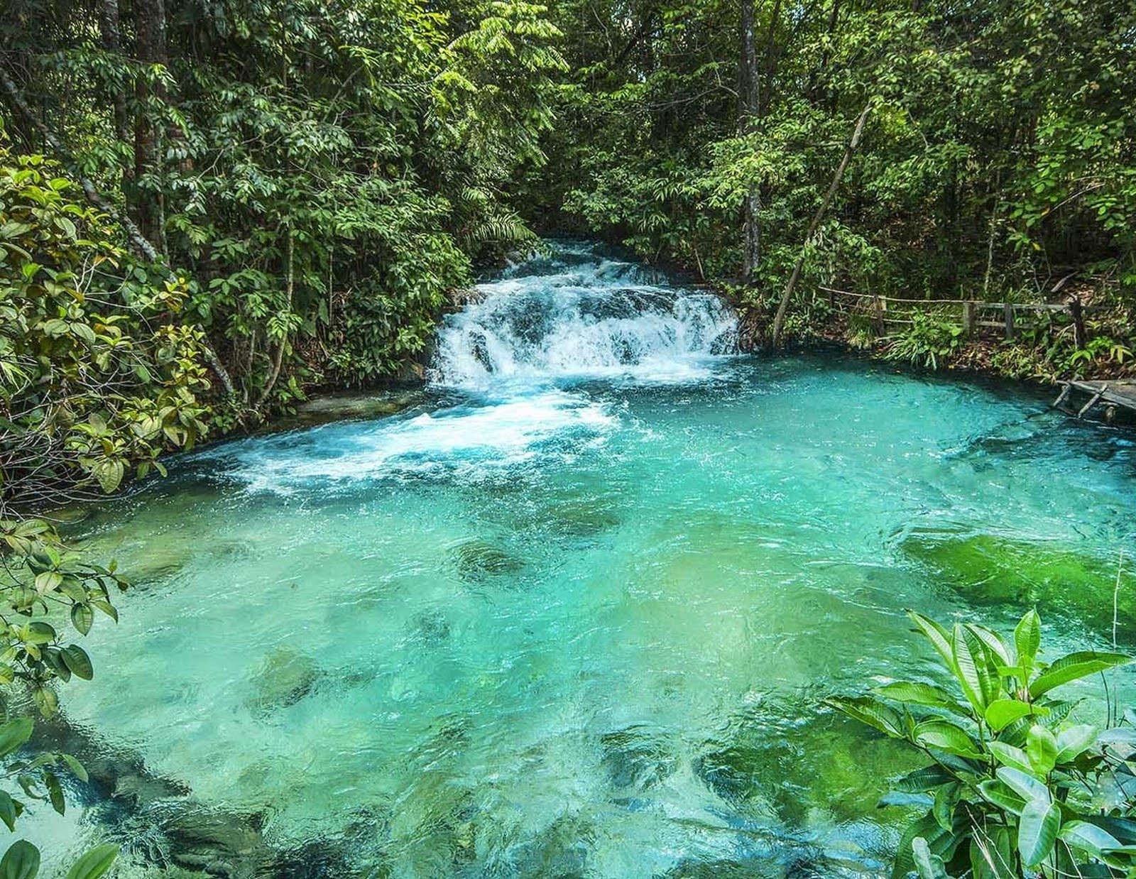 A small waterfall cascades into a wide, turquoise natural pool surrounded by dense green forest on a Jalapão trekking route