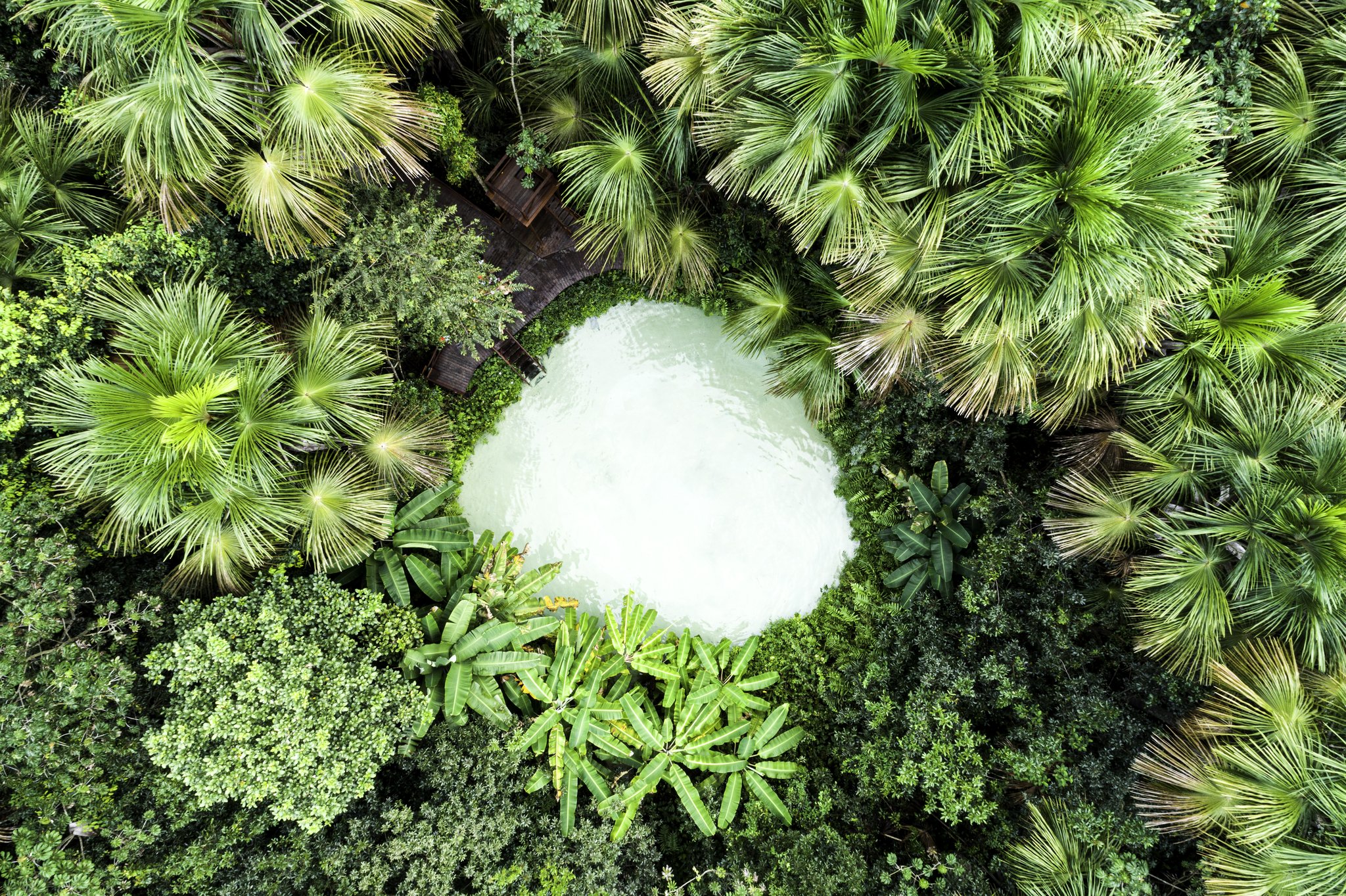 Aerial view of a crystal-clear natural spring pool surrounded by fan palms and dense cerrado vegetation on a Jalapão trekking route