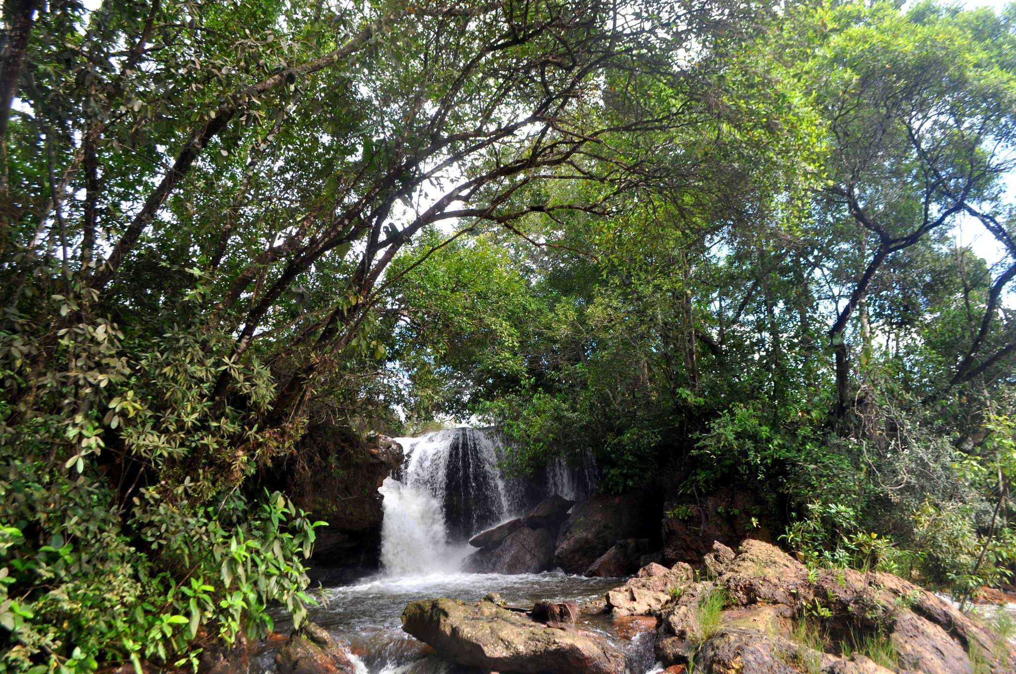A cascading waterfall tumbles over mossy rocks into a clear pool, framed by a dense canopy of trees arching overhead on a Jalapão trekking route